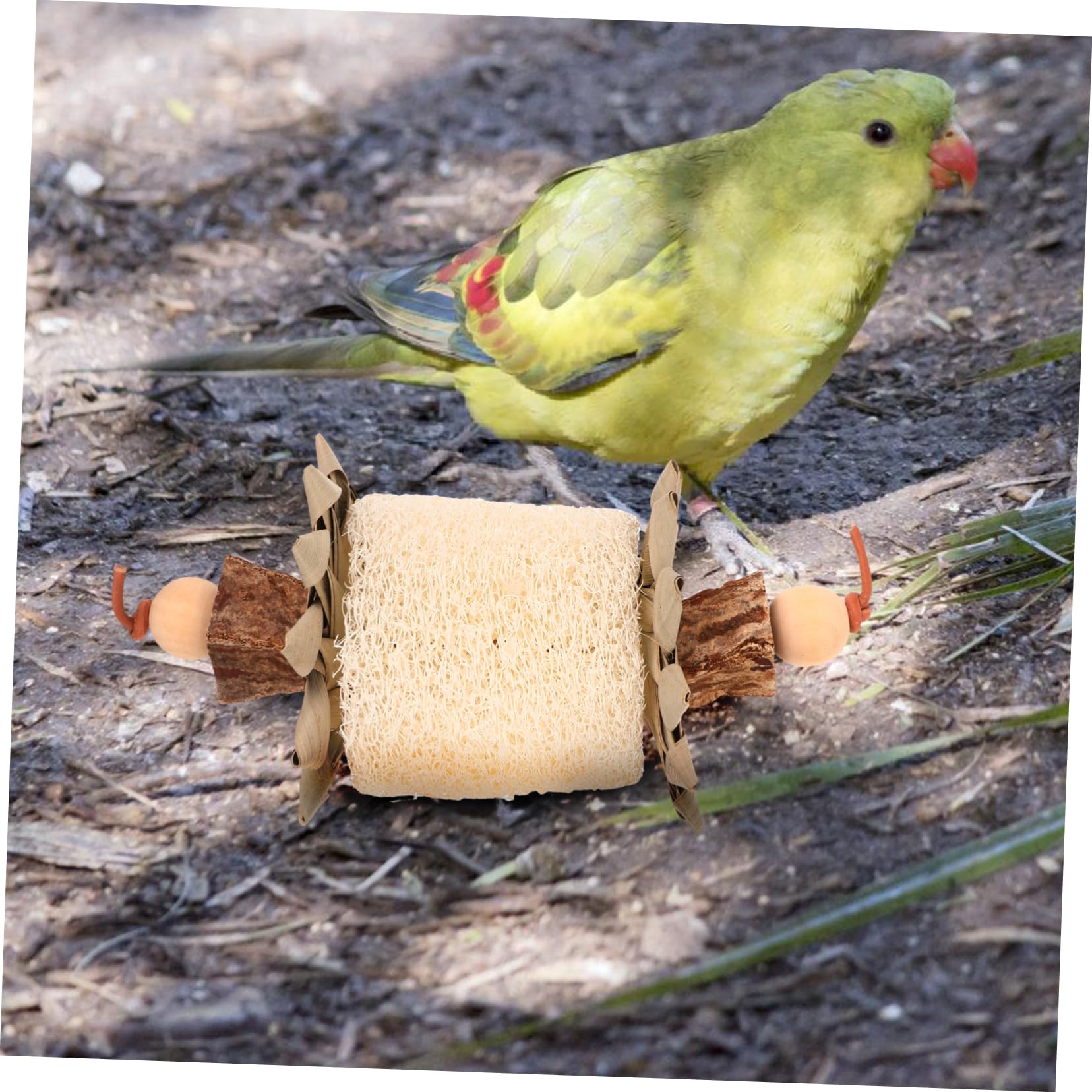 COLLBATH Jouets À Mâcher pour Oiseaux Jouet pour Perroquet À Mordre pour Oiseaux pour Perruche Suspendu pour Cage Amusant Et Divertissant