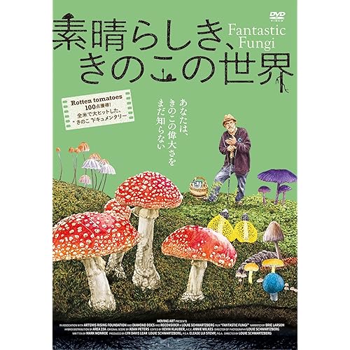 素晴らしき、きのこの世界