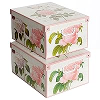 Lavatelli Set 2 pezzi Scatole armadio in cartone, organizer per vestiti e biancheria