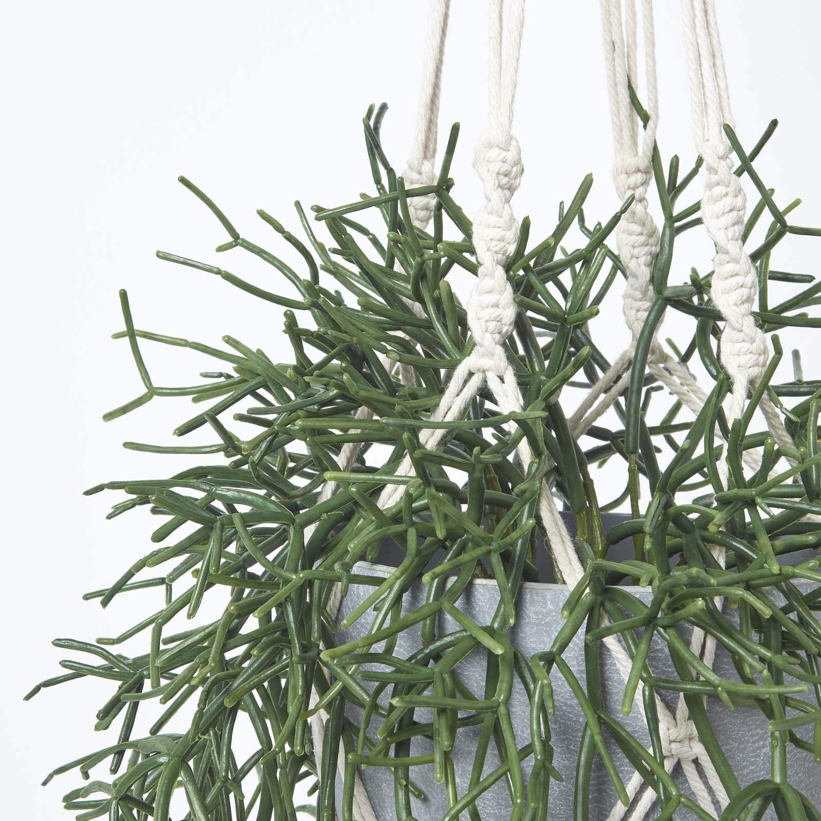 Homescapes hängende Kunstpflanze im Topf mit Makramee-Blumenampel zum Aufhängen, künstliche Hängepflanze Rhipsalis mit Melamin-Topf, künstliche Pflanze, Korallenkaktus im Pflanzenampel, 116 cm
