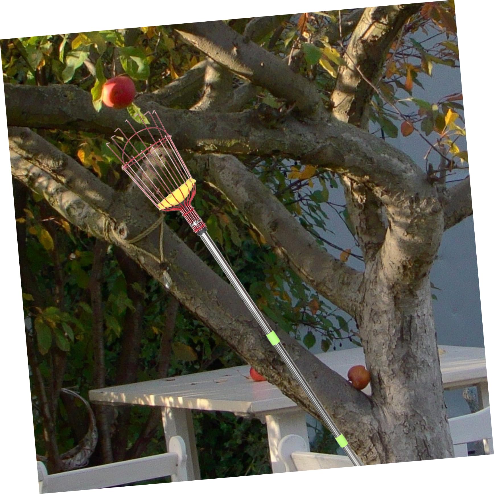 VANZACK Cueilleur de Fruits à Perche Télescopique en Acier Allié Léger avec Longueur Ajustable et Assemblage en Quatre Sections pour Jardin et Récolte de Poires