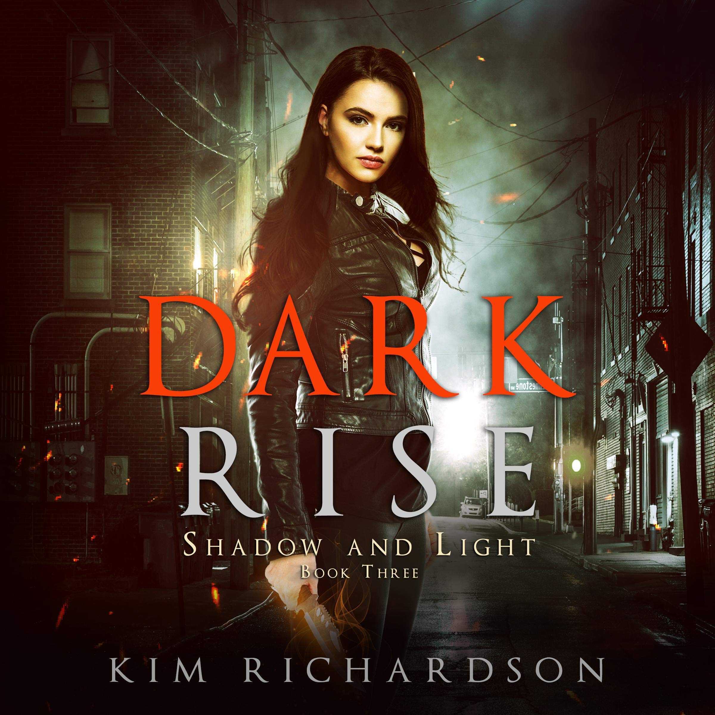 Cover art for Dark Rise