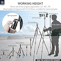 Vista 12 de Trípode de Fibra de Carbono - INNOREL RT75C Sin Cabeza de Bola Trípode Super Profesional Monopié Resistente Trípode Compacto Soporte de Stand
