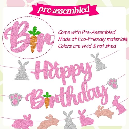 Miniatura 2 de Cartel de cumpleaños de conejo, decoraciones de fiesta de cumpleaños, orejas de conejo, zanahoria, día de Pascua, tema para niños y niñas,