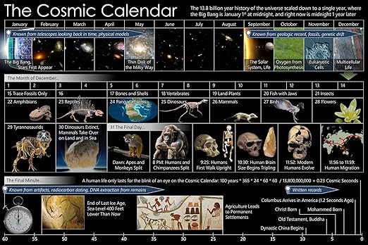 Amazon com: 24x36 gallery poster Cosmic Calendar timeline of the age Amazon com: 24x36 gallery poster Cosmic Calendar timeline of the age