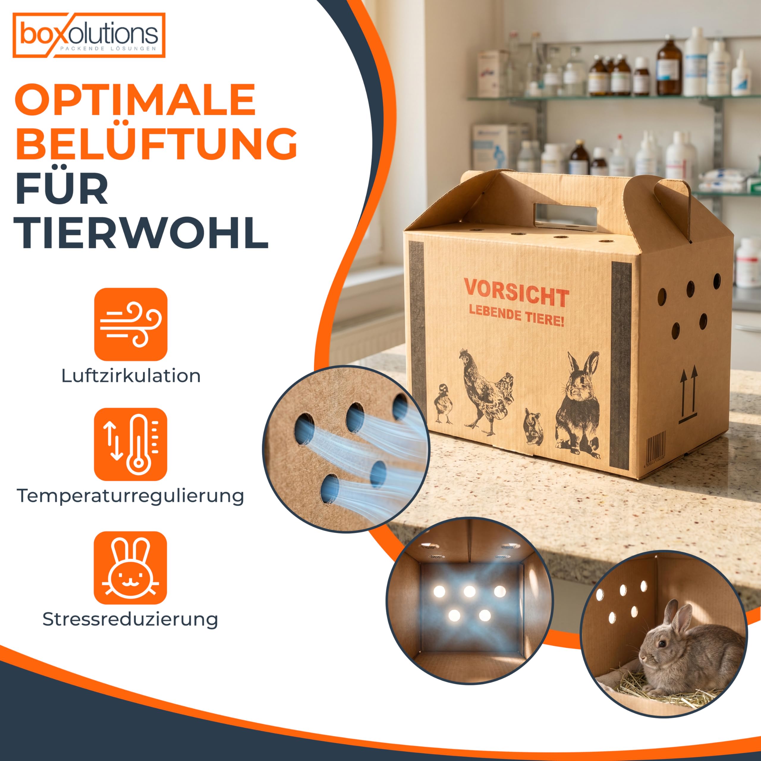 Transportkarton für Tiere Tiertransportkarton für Kleintiere - Geflügeltransportkiste - Hasen Transportbox - Hühnertransportbox - Transportbox Vogel - 580 x 309 x 369 mm (L) - 10 Stück
