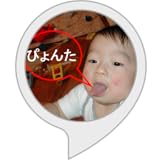 孤独の旅人　ぴょんた