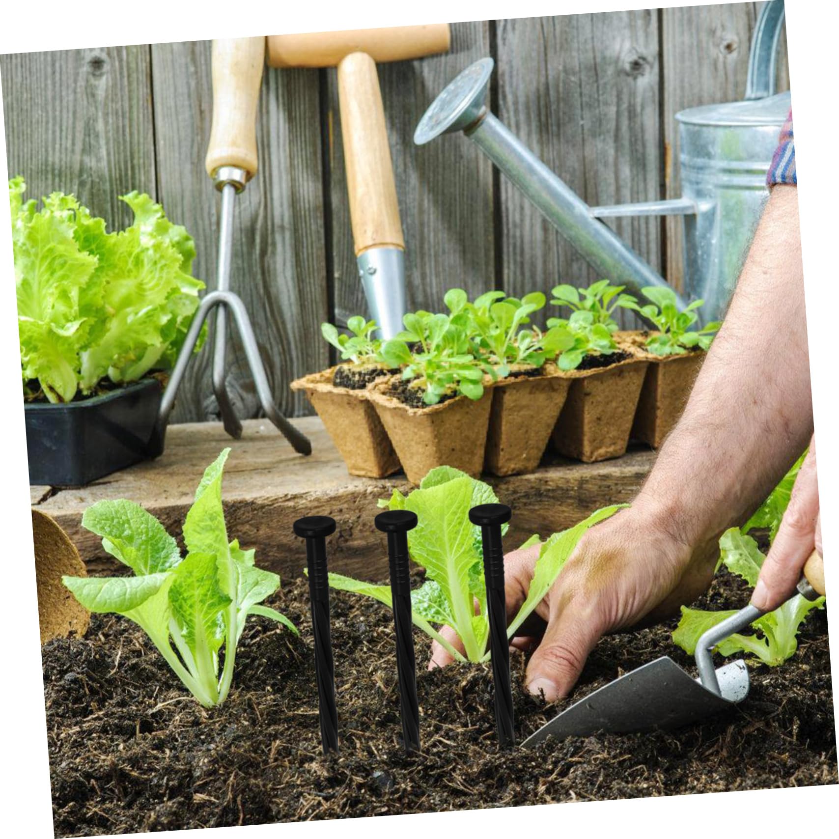 SUPVOX 5 Set di Picchetti da Giardino in Plastica per Giardinaggio Picchetti da Giardino Picchetti da Bordatura Picchetti da Giardinaggio 30 Pezzi*5