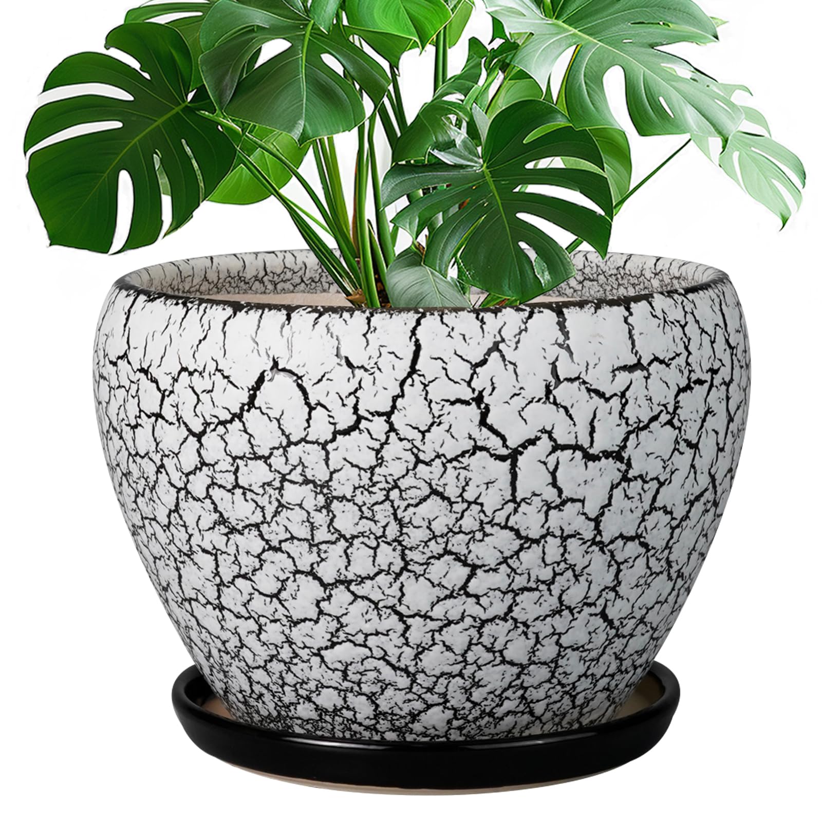 Ceramicfor Ceramic Planters for Indoor Plants - 10 Inch Plant Pot with Drainage Hole and Saucer, Large Flower Pot for Home Decor, White/Black
