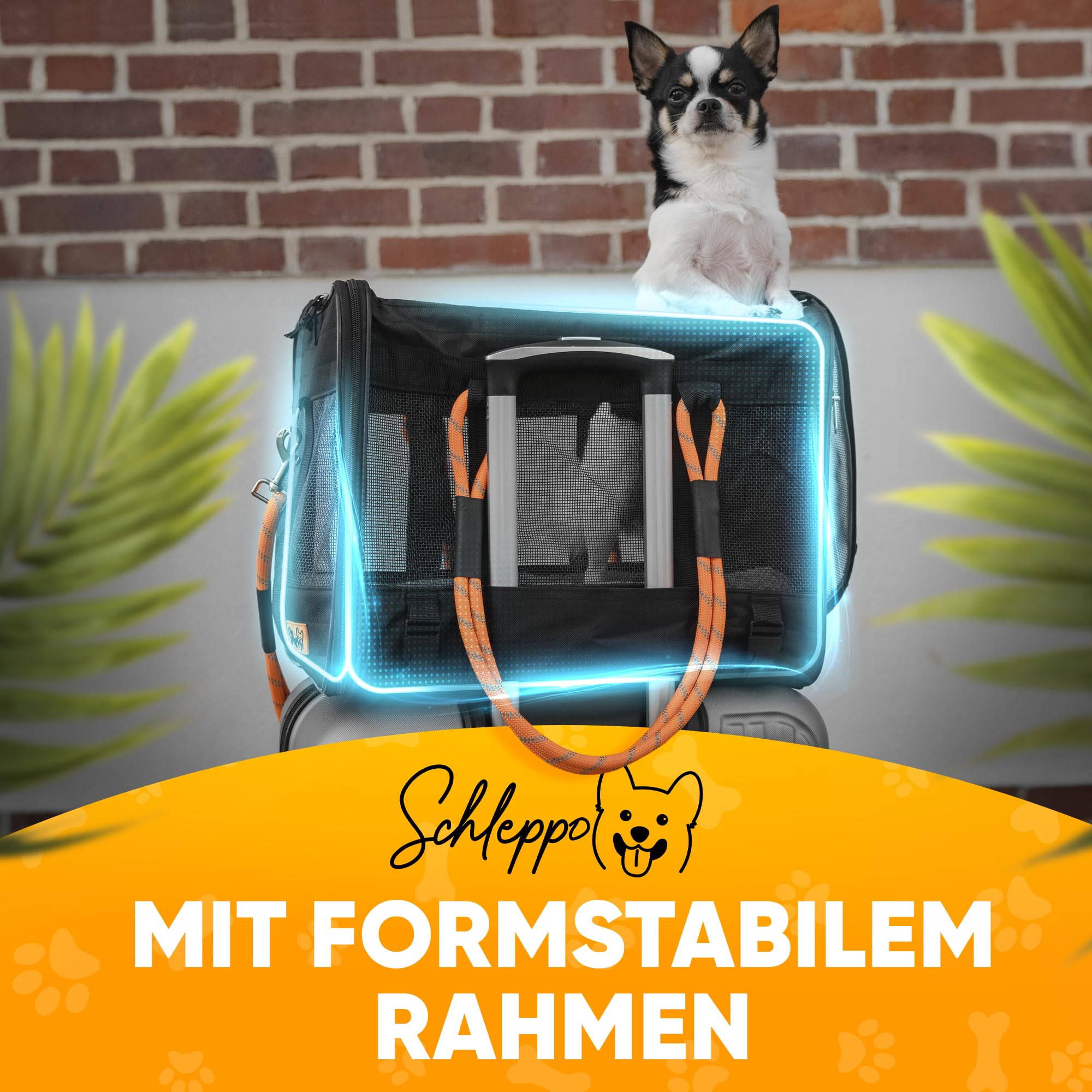 Hundetasche für kleine Hunde 7kg [ATMUNGSAKTIV] - Hunde Transporttasche für Auto & Zuhause - Wasserdicht & Sicher - Auch ideal als Katzentransporttasche - transportbox Hund hundetransportbox