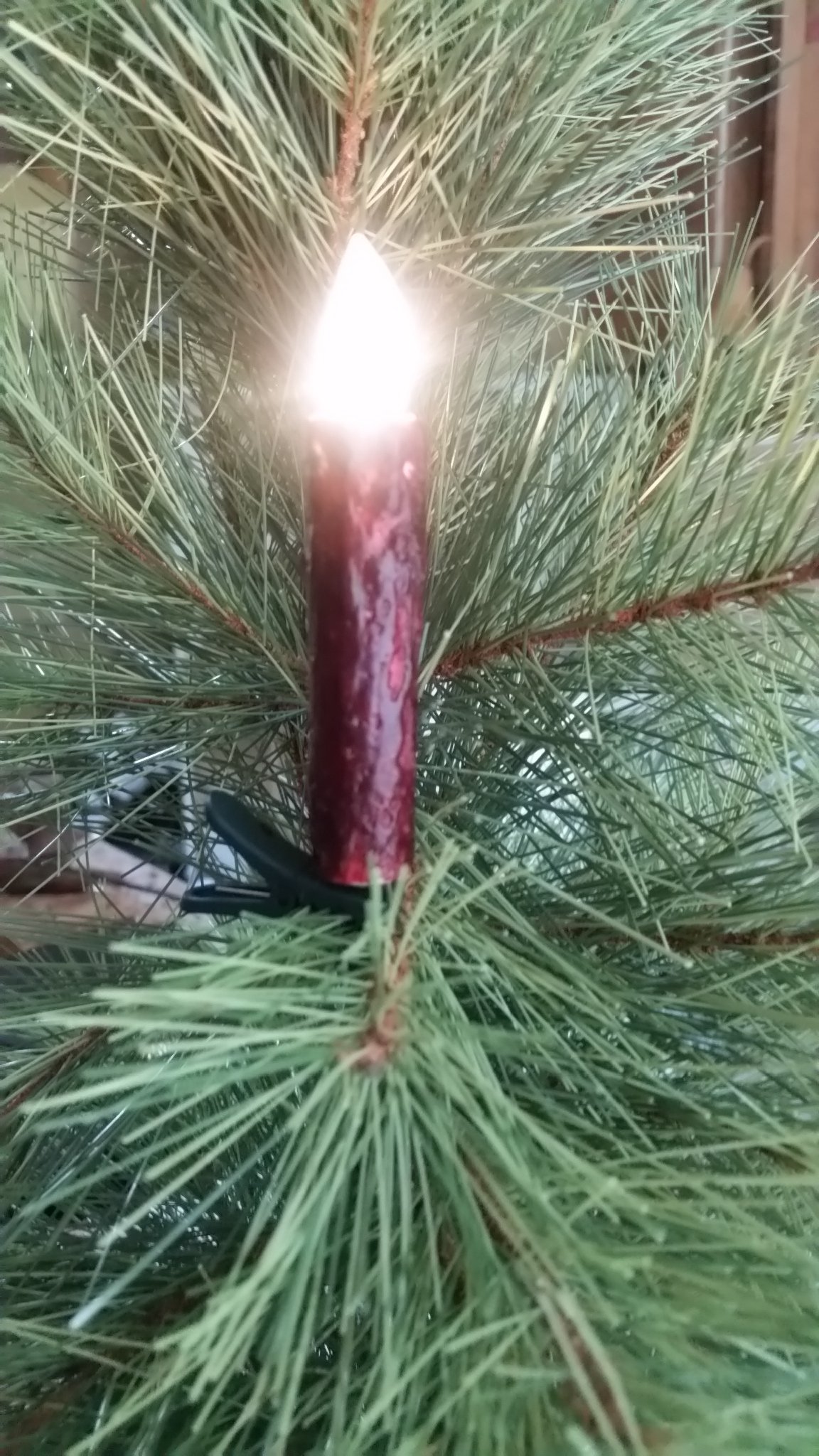 Judy Condon Hand-Poured Holiday Tree Candle Lights Cranberry Box 10 with 1 Remote