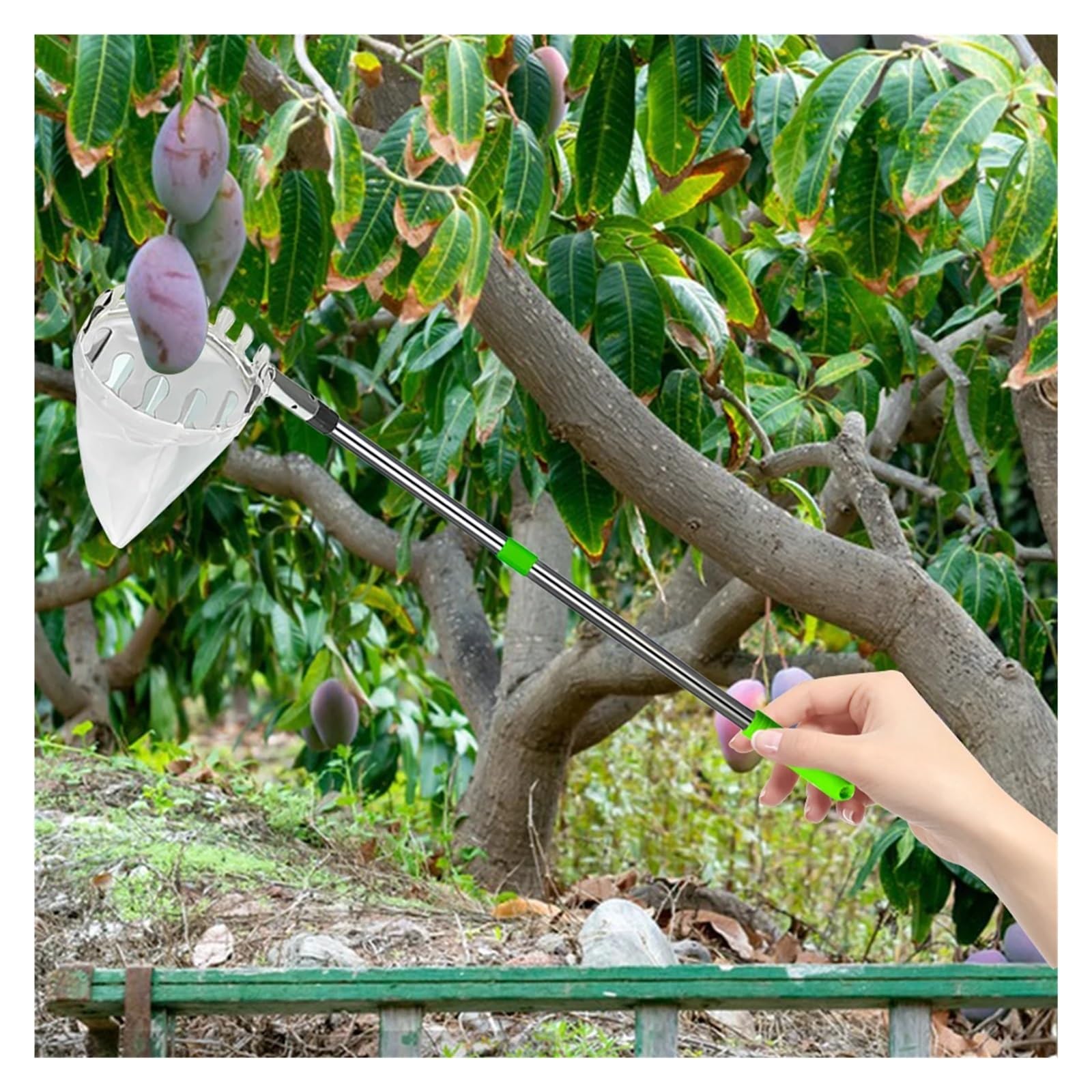 Recogedor De Frutas Recolector de frutas con bolsa de almacenamiento, de acero inoxidable, for árboles altos y huertos.(2.0m)