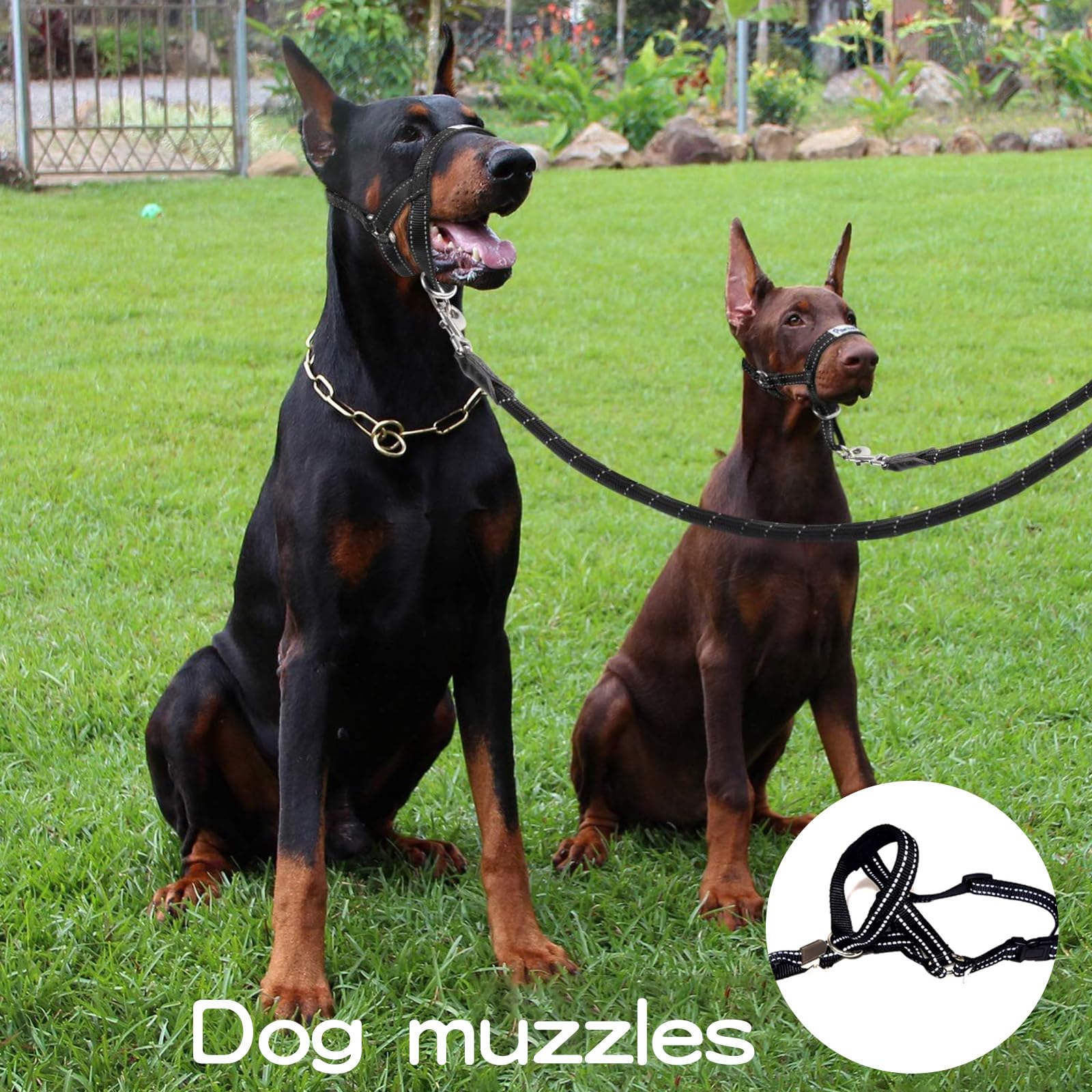 Museliere pour Chiens Grand/Moyen Collier de Dressage pour Chien Sangles Réglables Pet Corrector Boucle de Dégagement Musoliaire Chien Respirant pour Entraînement Quotidien Voyage