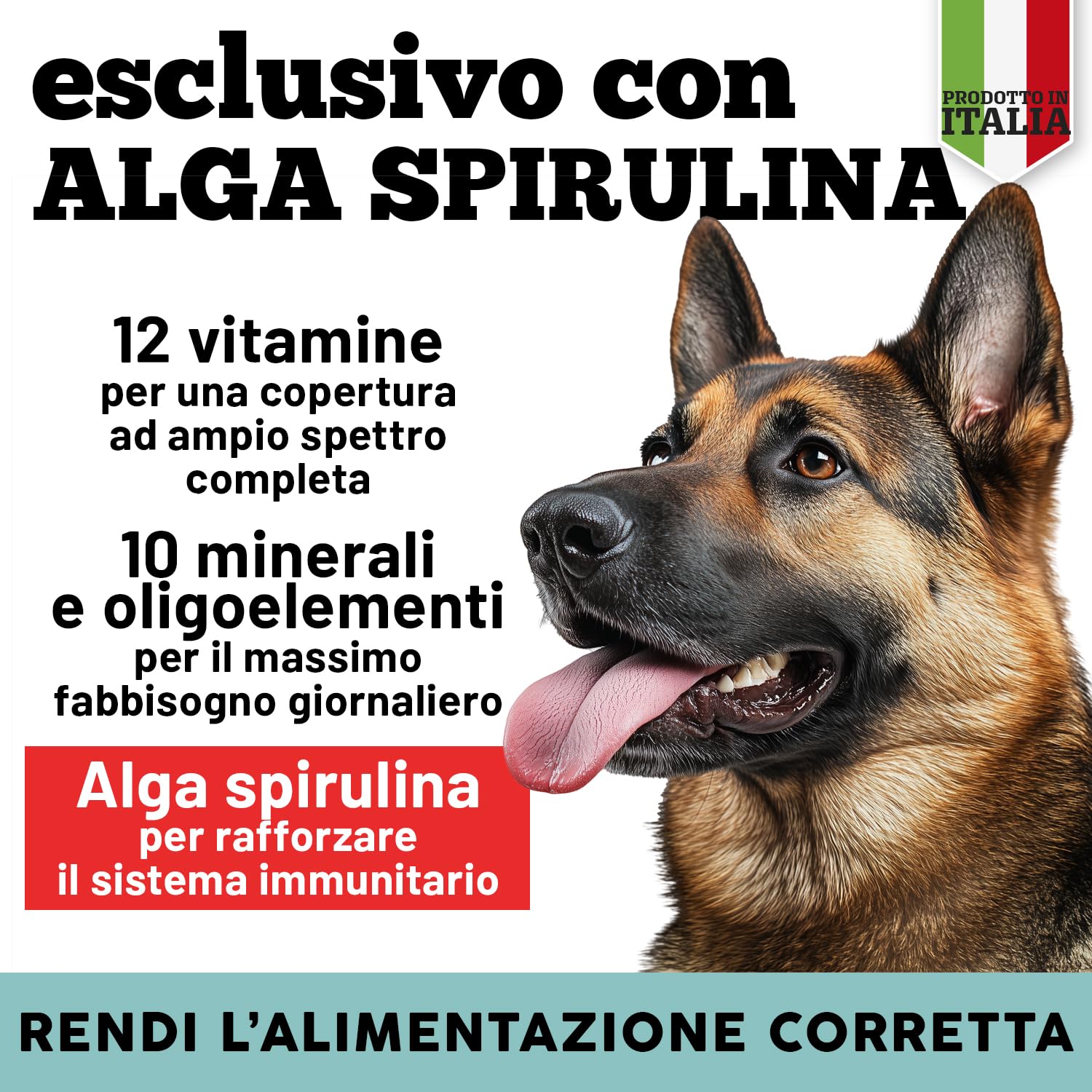 MyPetPrime | Integratore in Polvere | 12 Vitamine + 10 minerali Con Alga Spirulina | per la dieta Casalinga e Barf integra | 220g