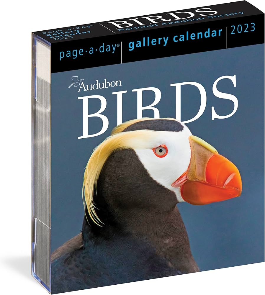 Audubon Birds Page-A-Day Gallery Calendar 2023: Hundreds of Birds, Expertly  Captured by Top Nature Photographers: Workman Calendars, National Audubon  Society: 9781523517589: Amazon.com: Books