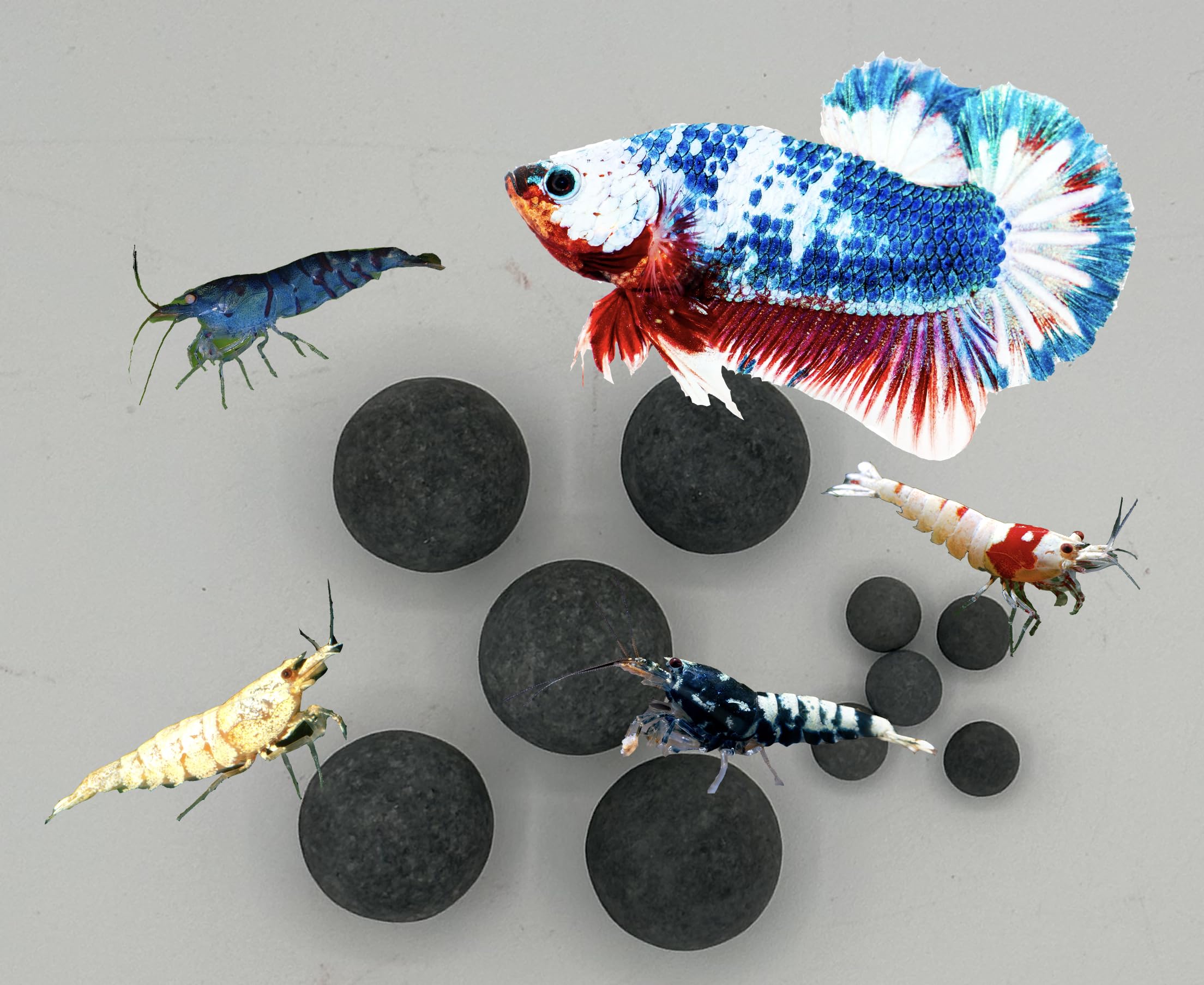 10 Combo Tourmaline Mineral Balls for Betta & Shrimp Freshwater Aquariums 10 Pack Combo