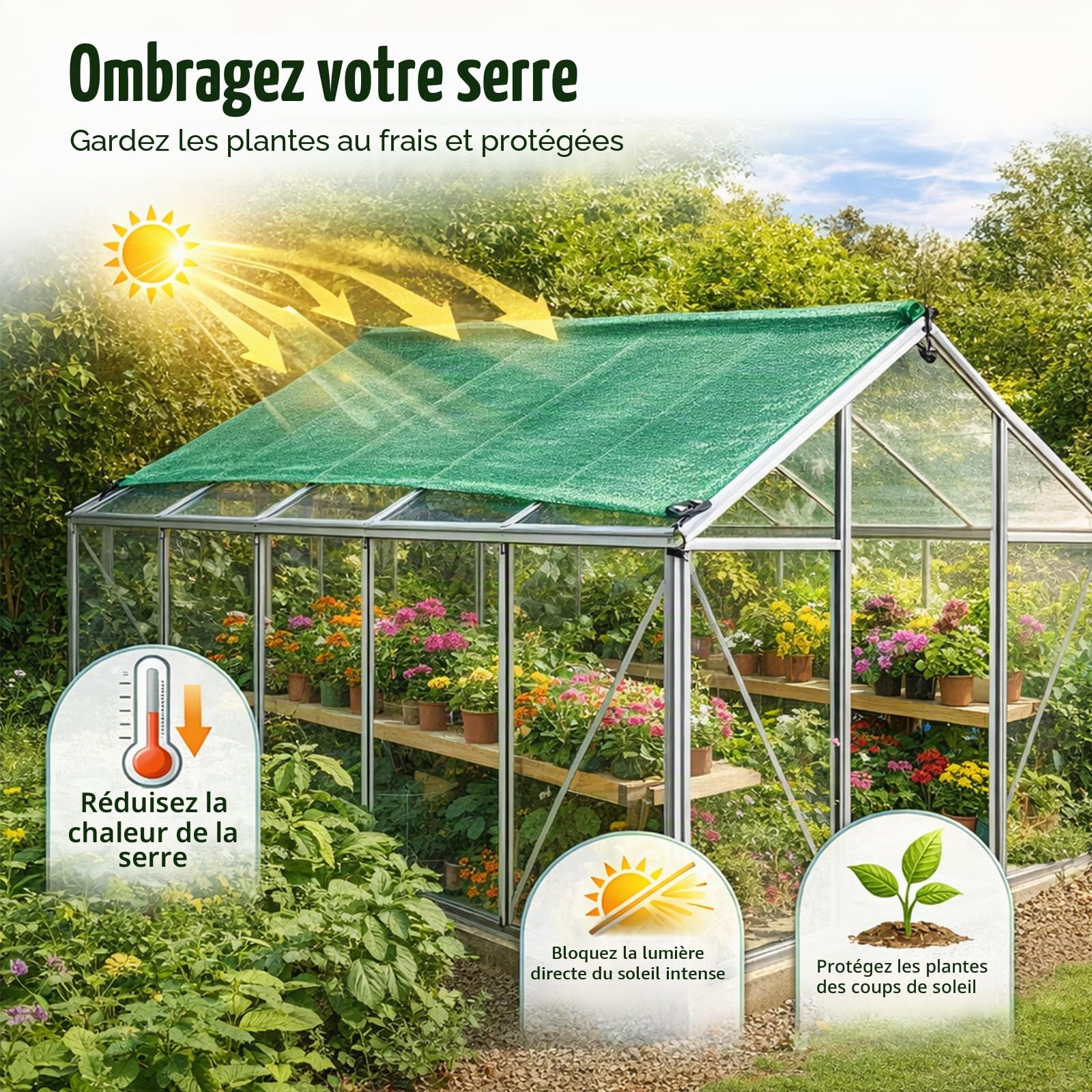 BeGrit Filet Protection Solaire 50% à Abat-Jour en Maille résistante pour Bloquer Les Rayons UV Vert pour Plantes de Jardin des Fleurs Serre Grange ou Chenil Toit Couvre 1,8m x 3m | Filet d'ombrage pour serre avec œillets - Filet de protection solaire pou
