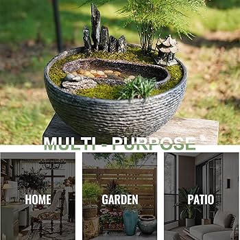 「植物の誕生」【フレームサイズ 27×22cm】 Amazon.co.jp: 植木鉢 室内用プランター 小型植木鉢 F 多肉植物