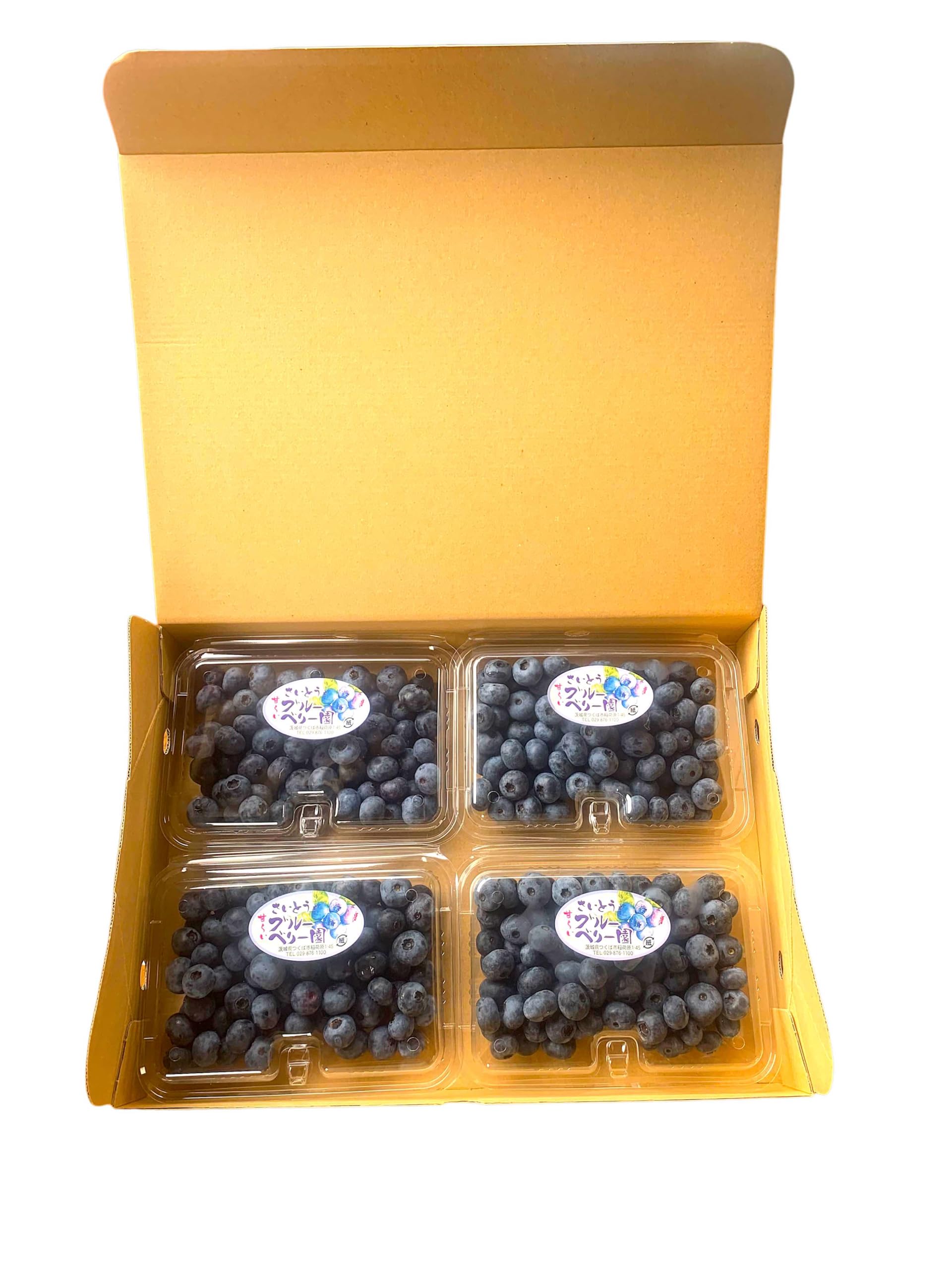 Amazon.co.jp: 100％無農薬【生ブルーベリー】約1,000g (250g×4パック 