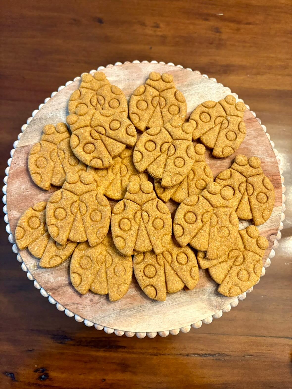 クッキーーページ 71TyfCU0r4L._AC_UF350,