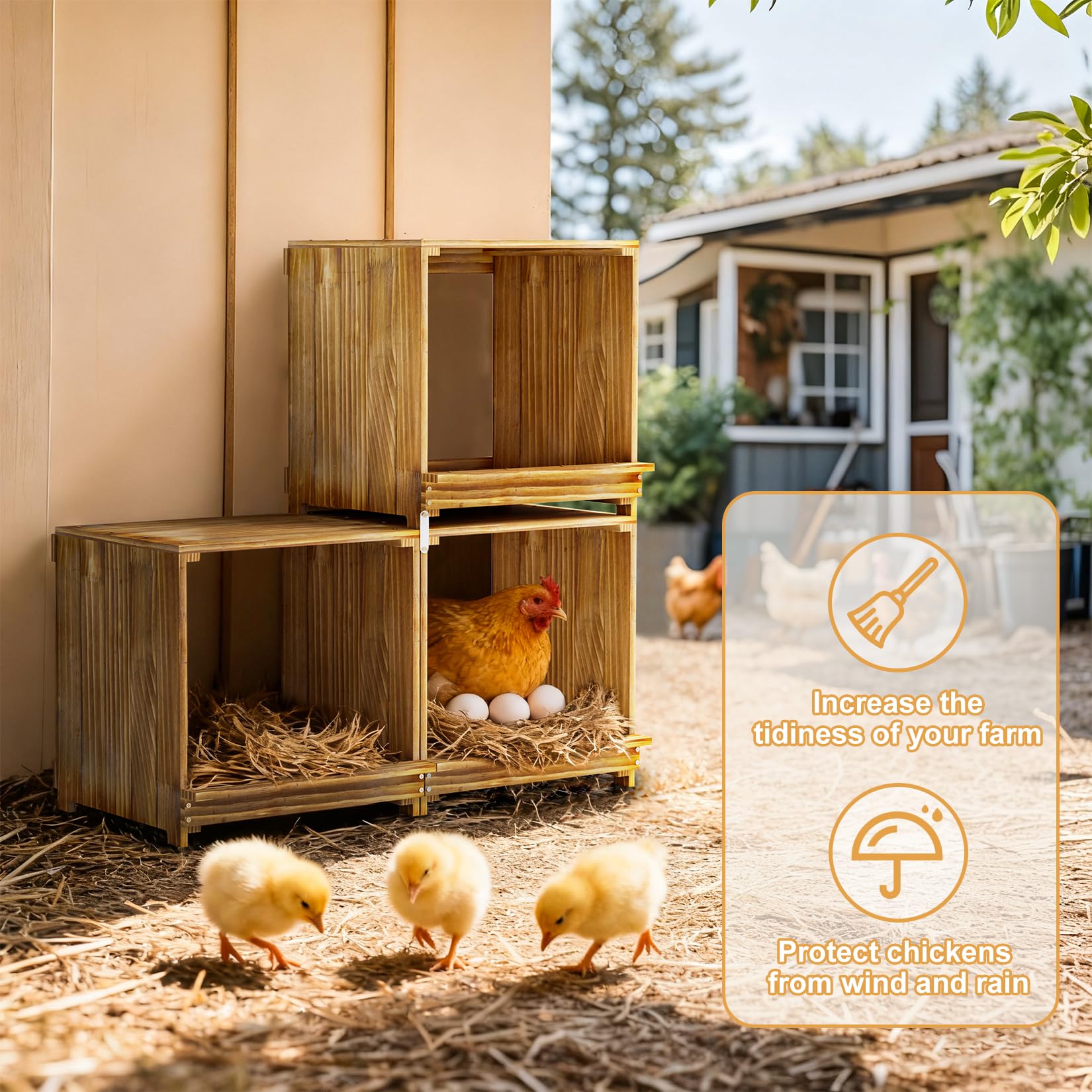3 Posti Nido per Galline Polli Ovaiole in Legno di Pino Versatile Sicuro | Facile da montare e utilizzare 105x30x36 cm