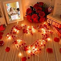 Vista 8 de Guirnalda de Navidad de 30 luces LED de 10 pies con luces, decoraciones de cono de pino para interior del hogar, chimenea, escalera