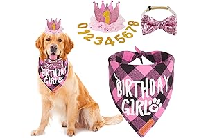 Celebrate Your Furry Friend's Big Day with ADOGGYGO's Grand Dog Birthday Party...