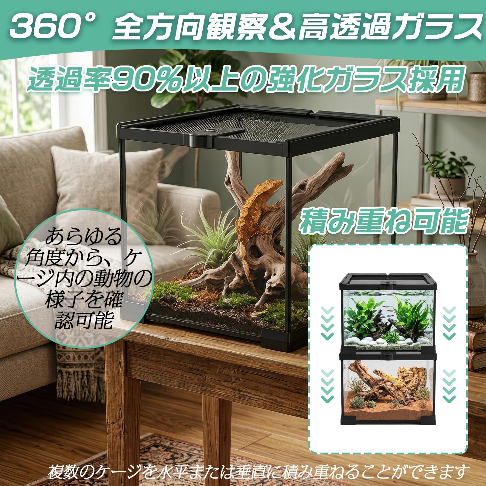 Amazon | 爬虫類 ケージ ガラスケージ 30×20×20cm 超白ガラス 360°観察