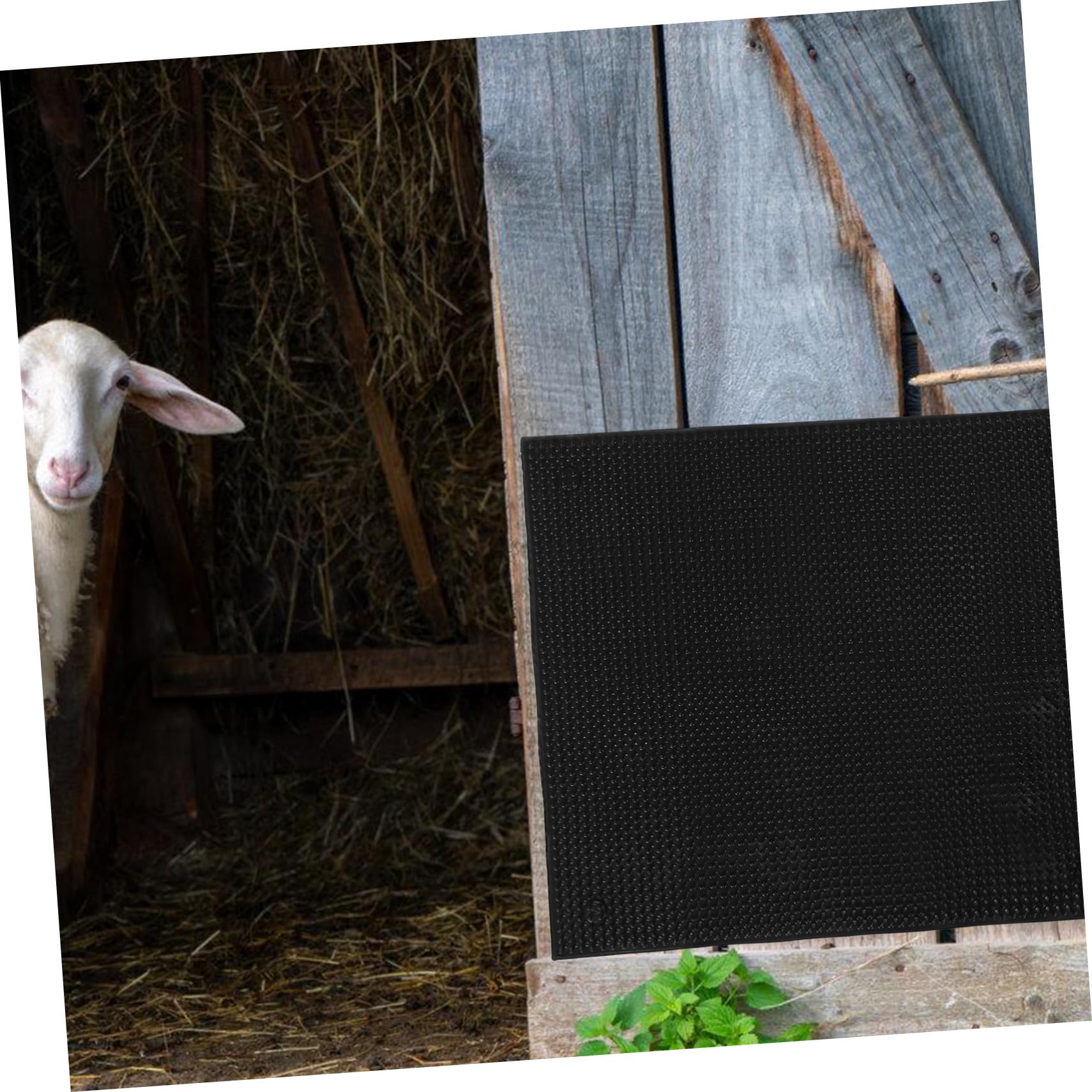 SUPVOX Tappetino Antiprurito per Bovini Setole Morbide Accessorio Resistente per Allevamenti e Stalle Spazzola per Equini e Mucche Facile da Installare