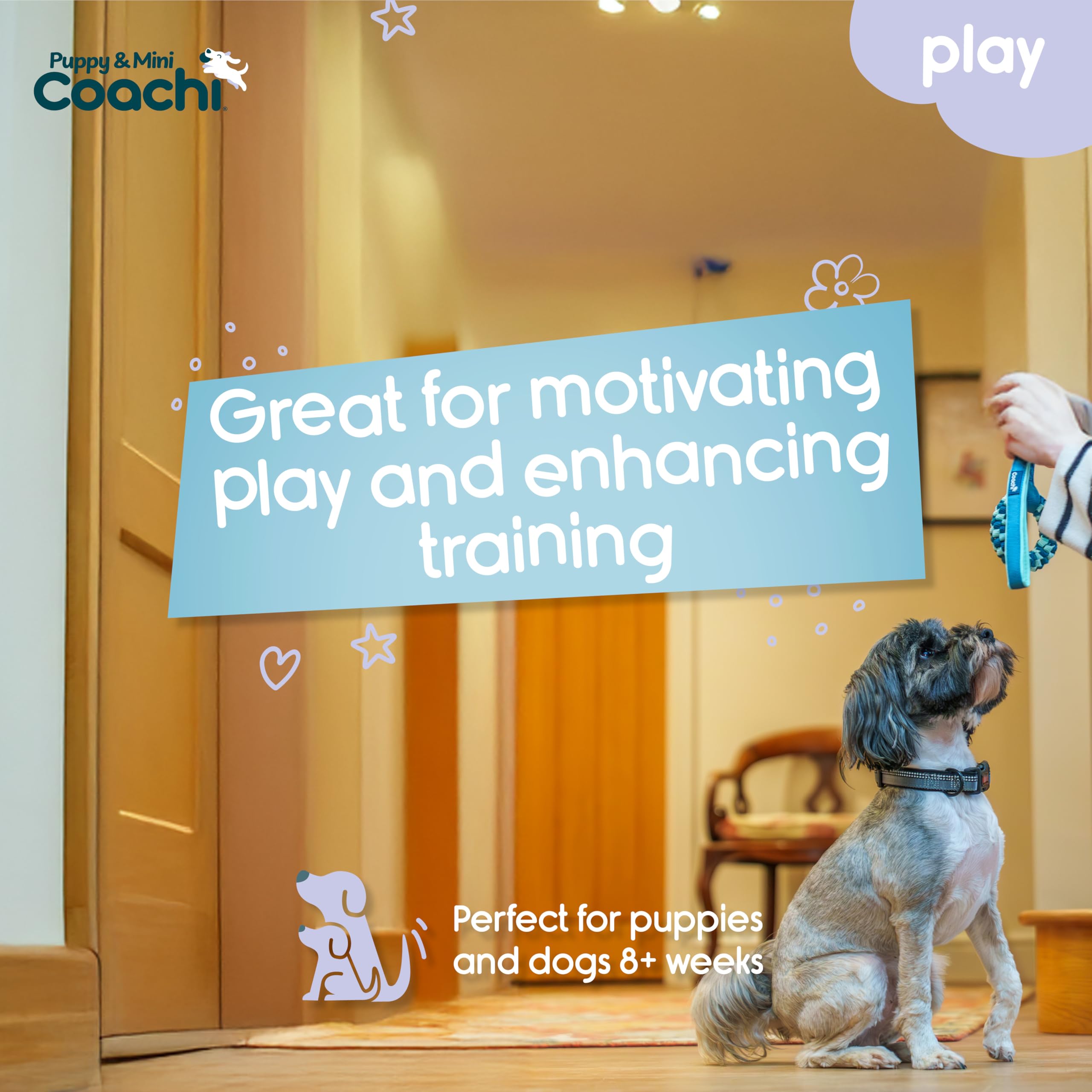 Coachi Puppy & Mini Tuggi Helix, Lightweight, Tough Dog Toy, Safe & Fun, Stretchy Bungee Handle, Reward Training, Recall - Image 2