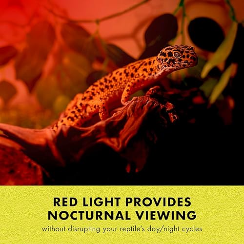 Miniatura 9 de Zilla Bombilla incandescente, para especies de reptiles nocturnos, negro nocturno