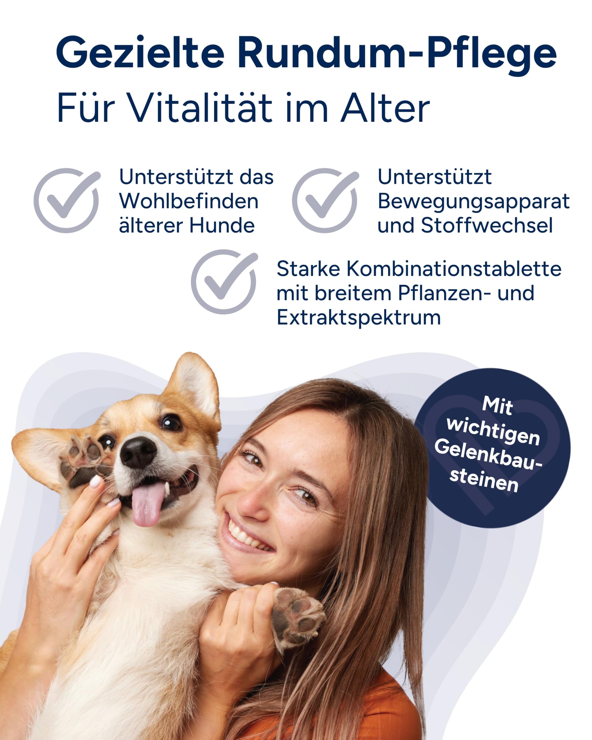 NutriLabs Geridex® Tabletten für Senioren-Hunde 60 STK. - Seniorentabletten für Hunde mit Glucosamin, Weißdorn u.v.m. - Hunde-Nahrungsergänzung - Teufelskralle-Tabletten - MSM-Hund