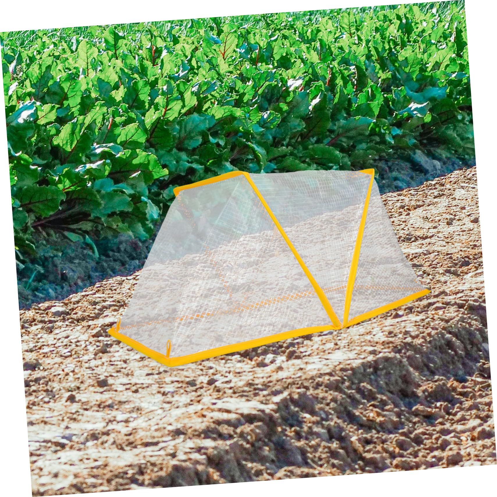 Abaodam Copertura Pieghevole per Aiuole Rialzate Protezione Invernale per Piante Ortaggi e Frutta Serra Isolante Resistente al per Giardinaggio Allaperto