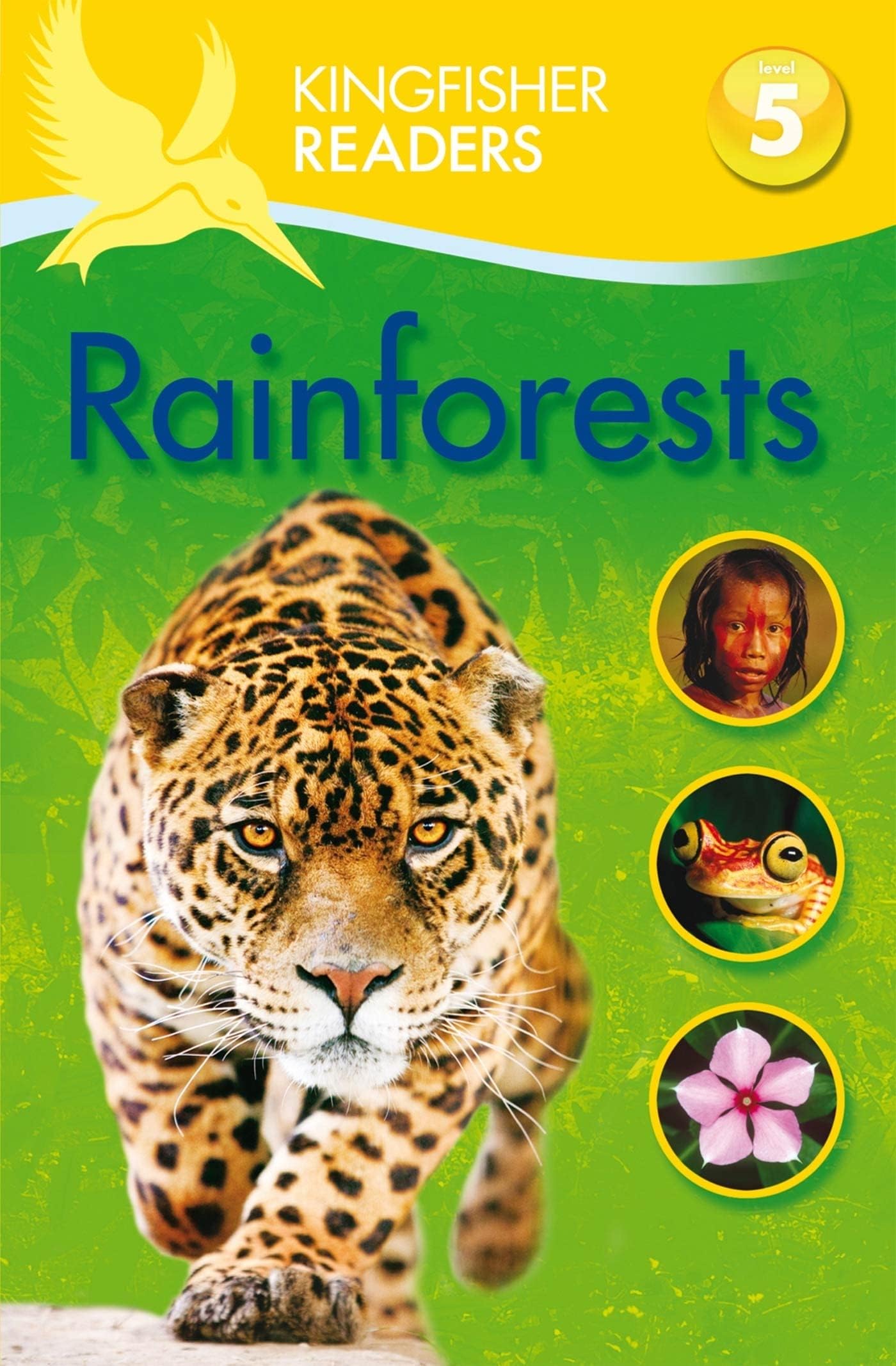 Kingfisher Readers: Rainforests (Level 5: Reading Fluently) (Kingfisher Readers, 36) Paperback – 5 January 2012