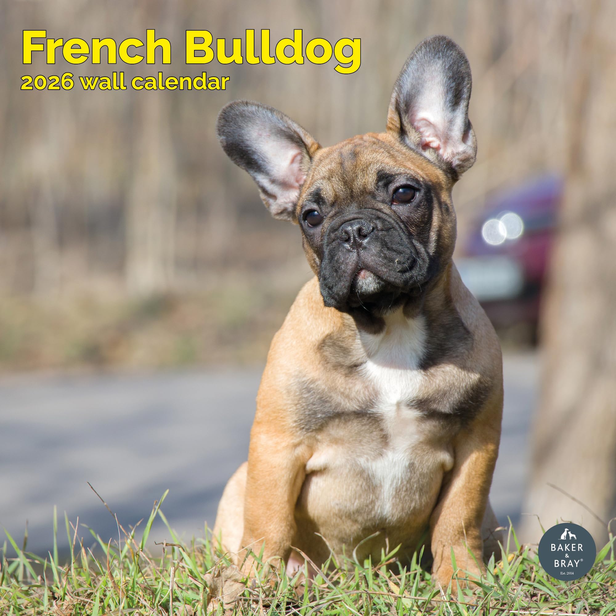 Calendario 2026 Settimanale/giornaliero Con Bulldog Francese, Per Casa, Ufficio O Scuola, Regalo Per Amanti Dei Cani