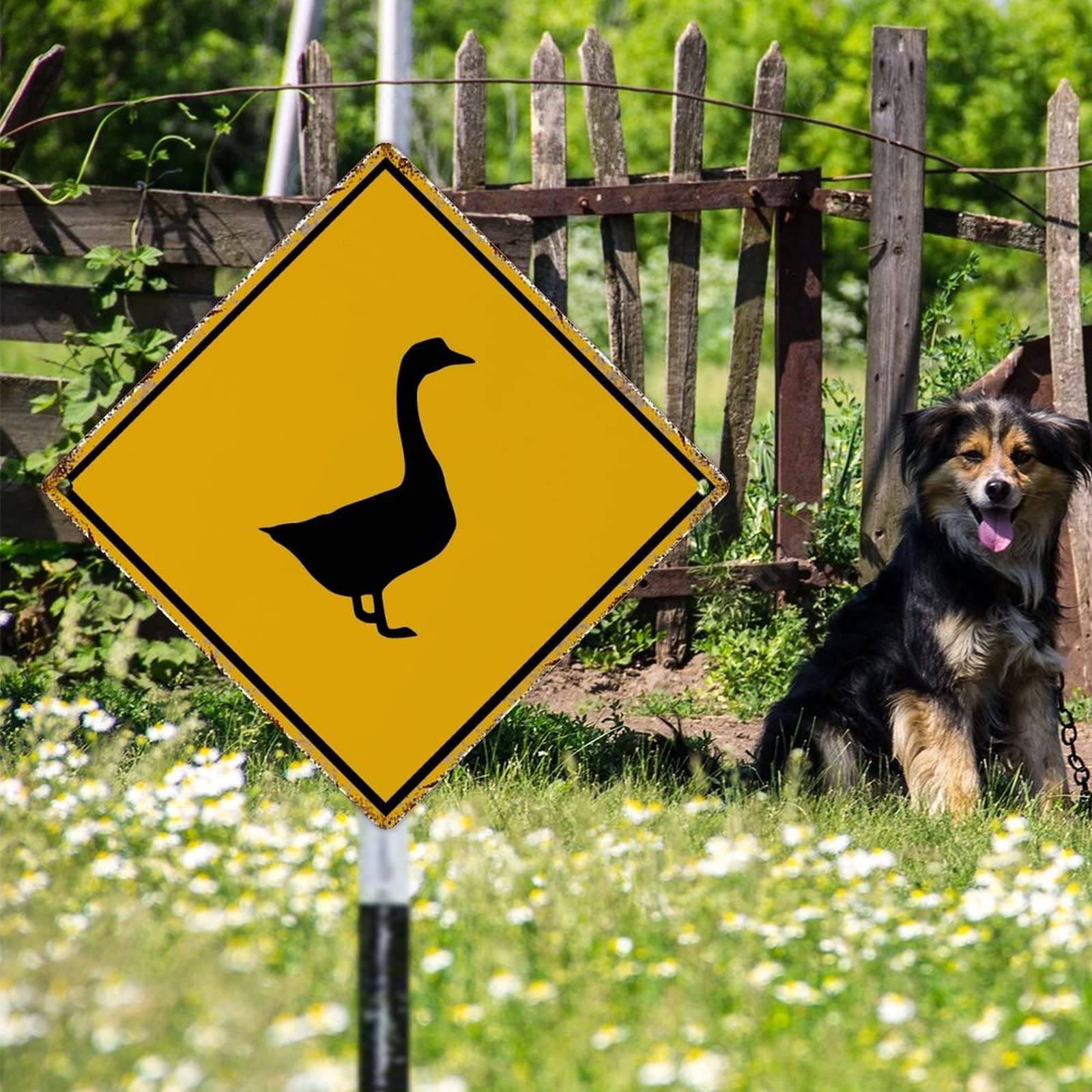 Panneau En Métal Vintage Avec Inscription Slow Geese Crossing Pour