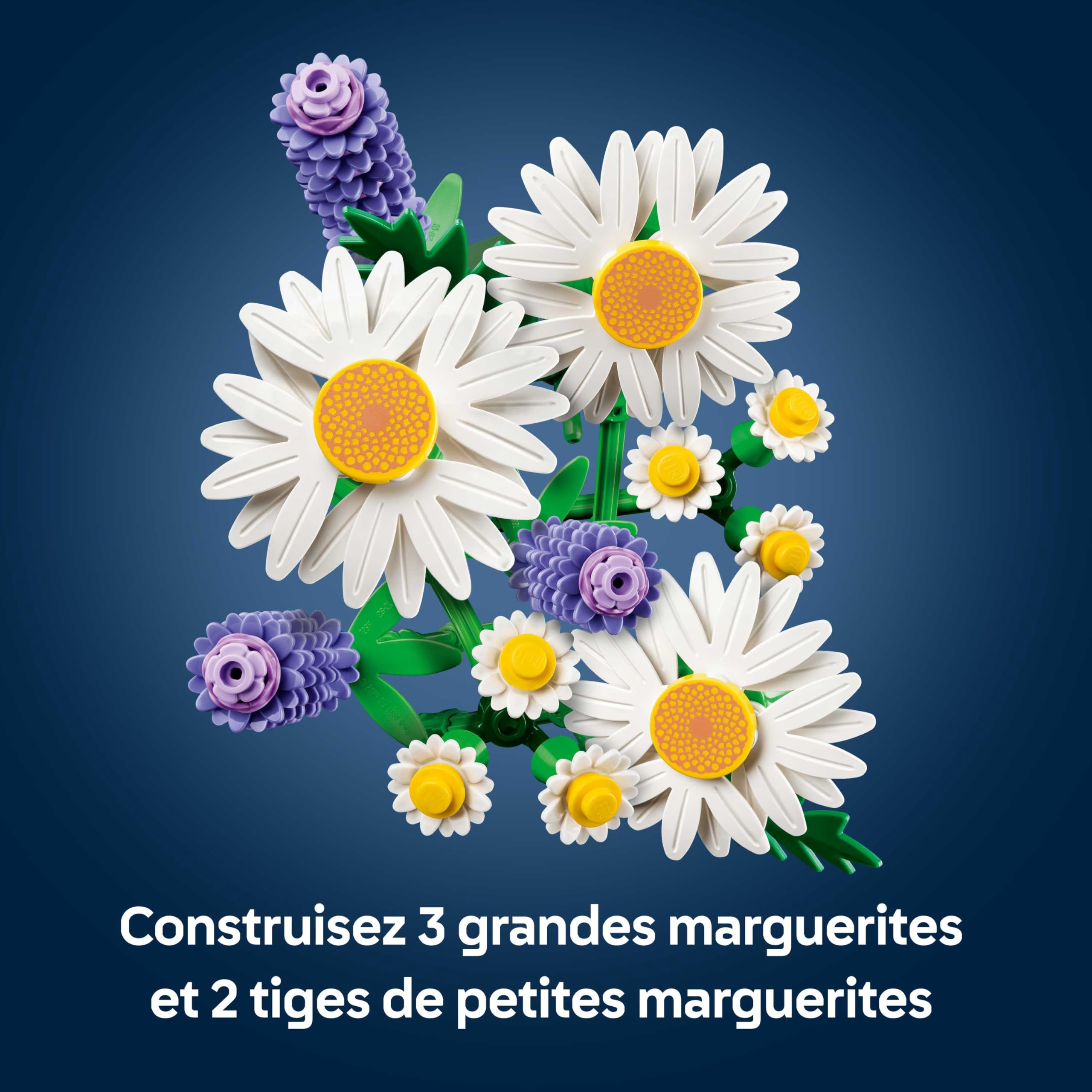 LEGO Botanicals Marguerites - Bouquet de Fleurs Artificielles - Marguerites & Lavande - Décoration Chambre d'enfant DIY - Cadeau d'anniversaire pour Fille 9 Ans ou Adulte Passionné.e de Plantes 11508