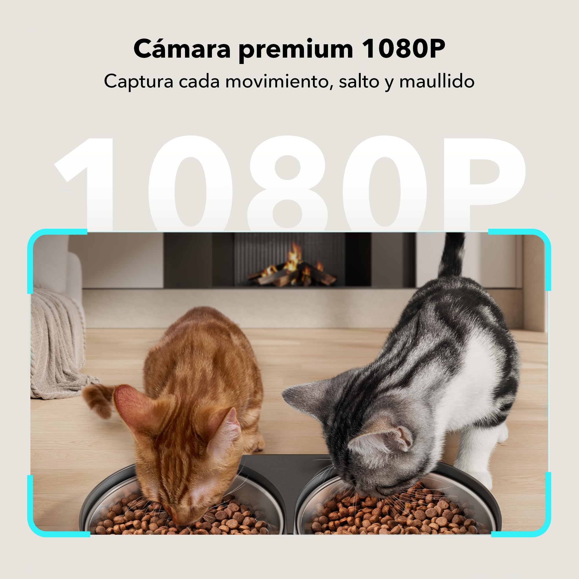 PETLIBRO 5G y 2.4G WiFi Comedero Gato Automatico con Cámara, 5L Doble Cuencos 1080P HD Dispensador Comida Gatos/Perros, App Control, Baterías y Cableado Eléctrico, Cuenco de Acero Inoxidable, Negro