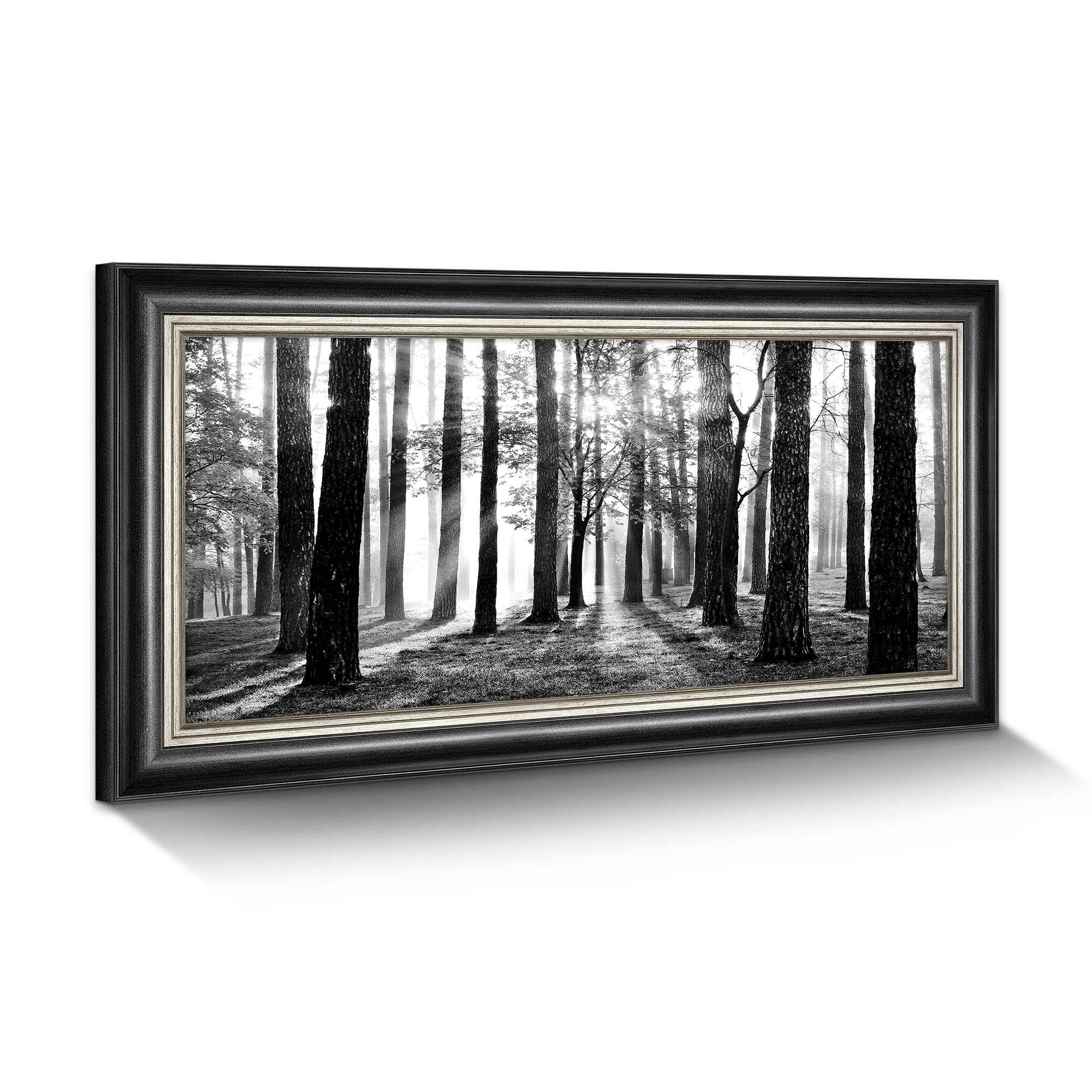Black and White Forest Wall Art: Framed Tree Landscape Canvas Painting Modern Foggy Sunshine Scene Prints for Bedroom