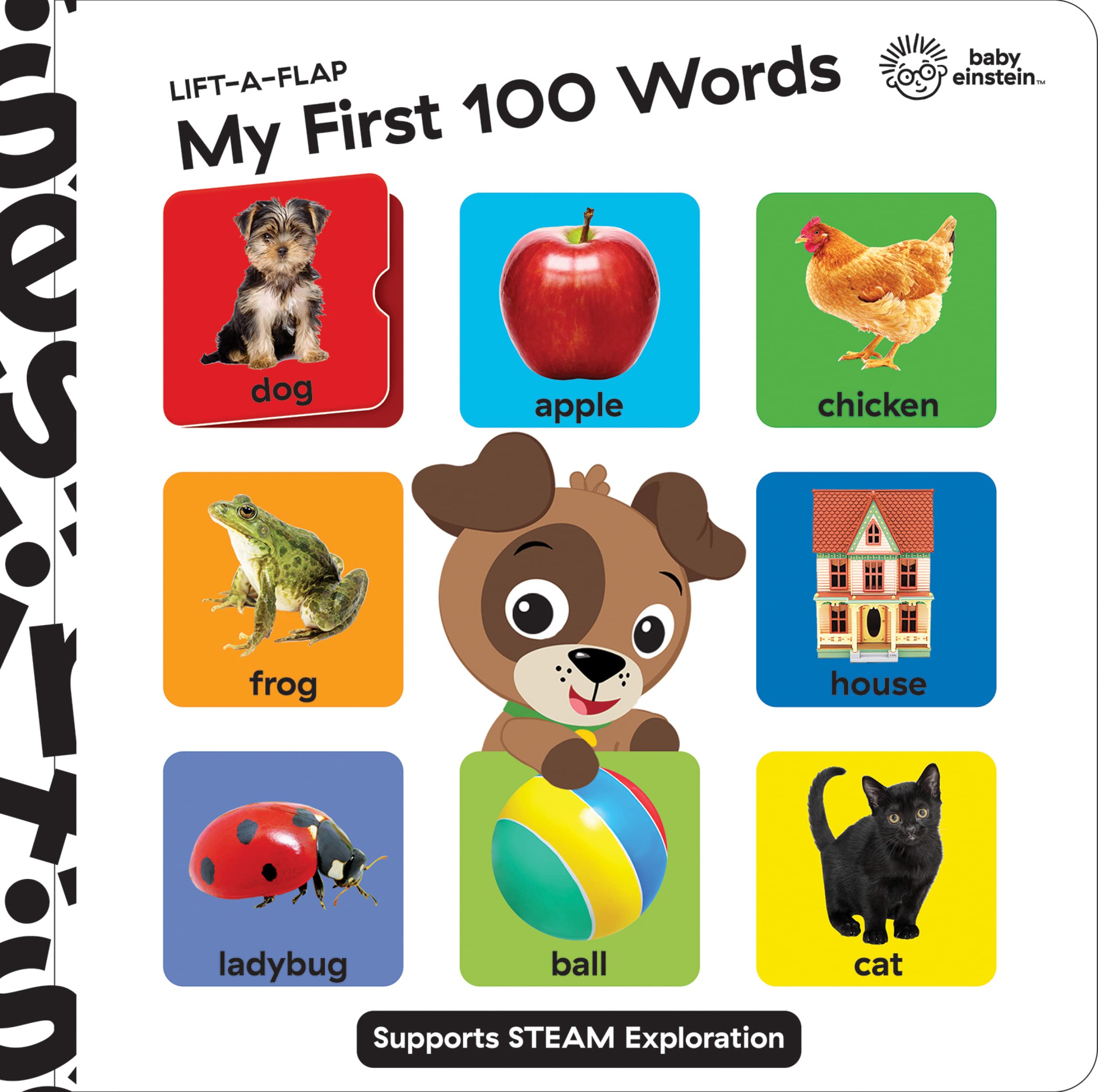 Baby Einstein - My First 100 Words Lift-a-Flap - Lift the Flap Board Book - Supports STEAM Exploration - PI Kids