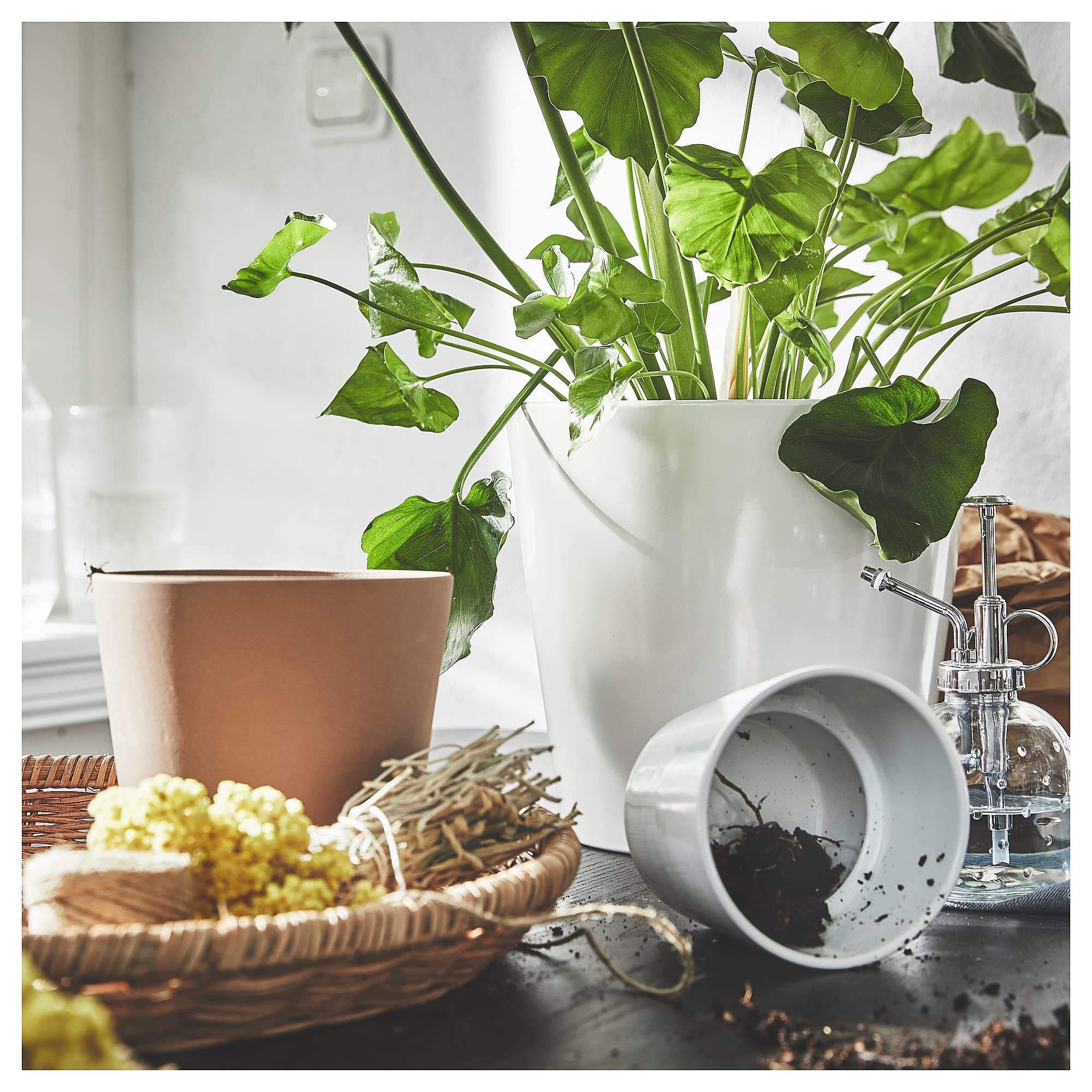 Ikea KLARBÄR Vaso per piante con sottovaso, 12 cm, interno/esterno, marrone