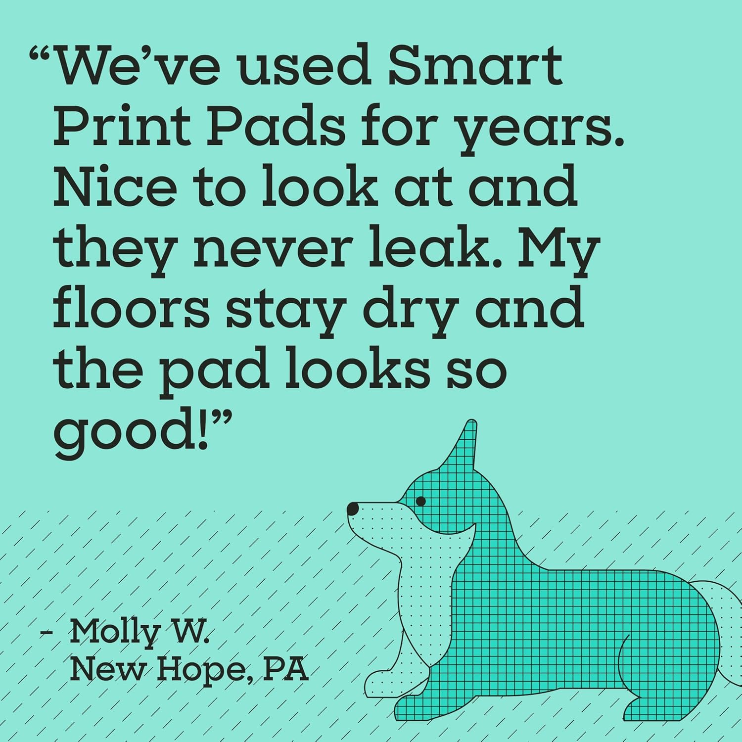 Pet Life Unlimited Smart Prints XL Puppy Pads for Dogs, Potty Training Pee Pads, 26 Count, 26" x 30", Leak-Proof, Super Absorbent, Quick-Dry, Patterned Pads with Odor Control, Made in USA