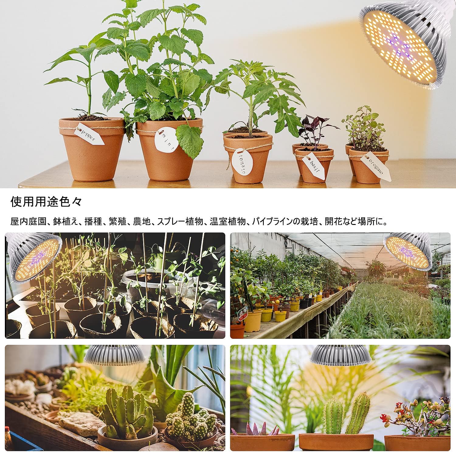Amazon.co.jp: 【LED植物育成ライト PSE認証 2年間の保証】E26口金 長 