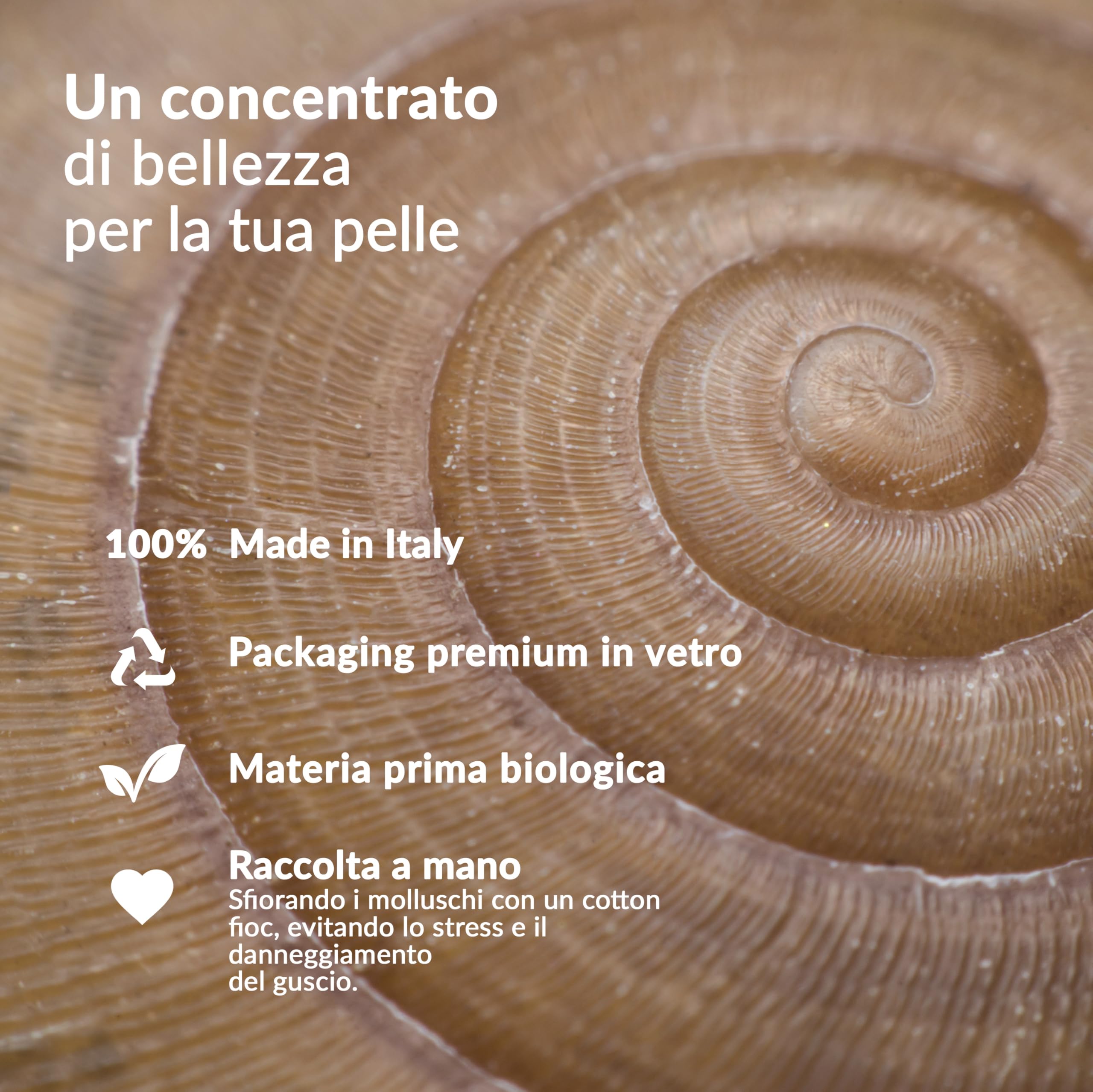 Nuvò - Scrub Viso Azione Esfoliante con Bava di Lumaca Bio 10%, 75 ml | con Acido Salicilico, Mandorla e Nocciola, pulizia profonda per uso quotidiano, per pelli miste, Made in Italy