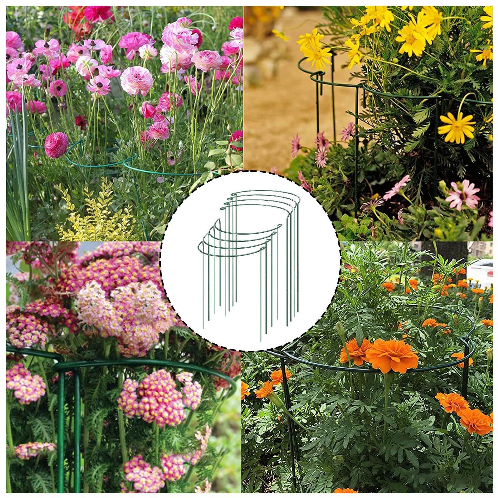 10 Pezzi di supporto per piante, Pali di supporto per piante da giardino in metallo semicircolare gabbie e supporti per peonie per piante pomodori Vite fiori di verdura 25 × 40cm