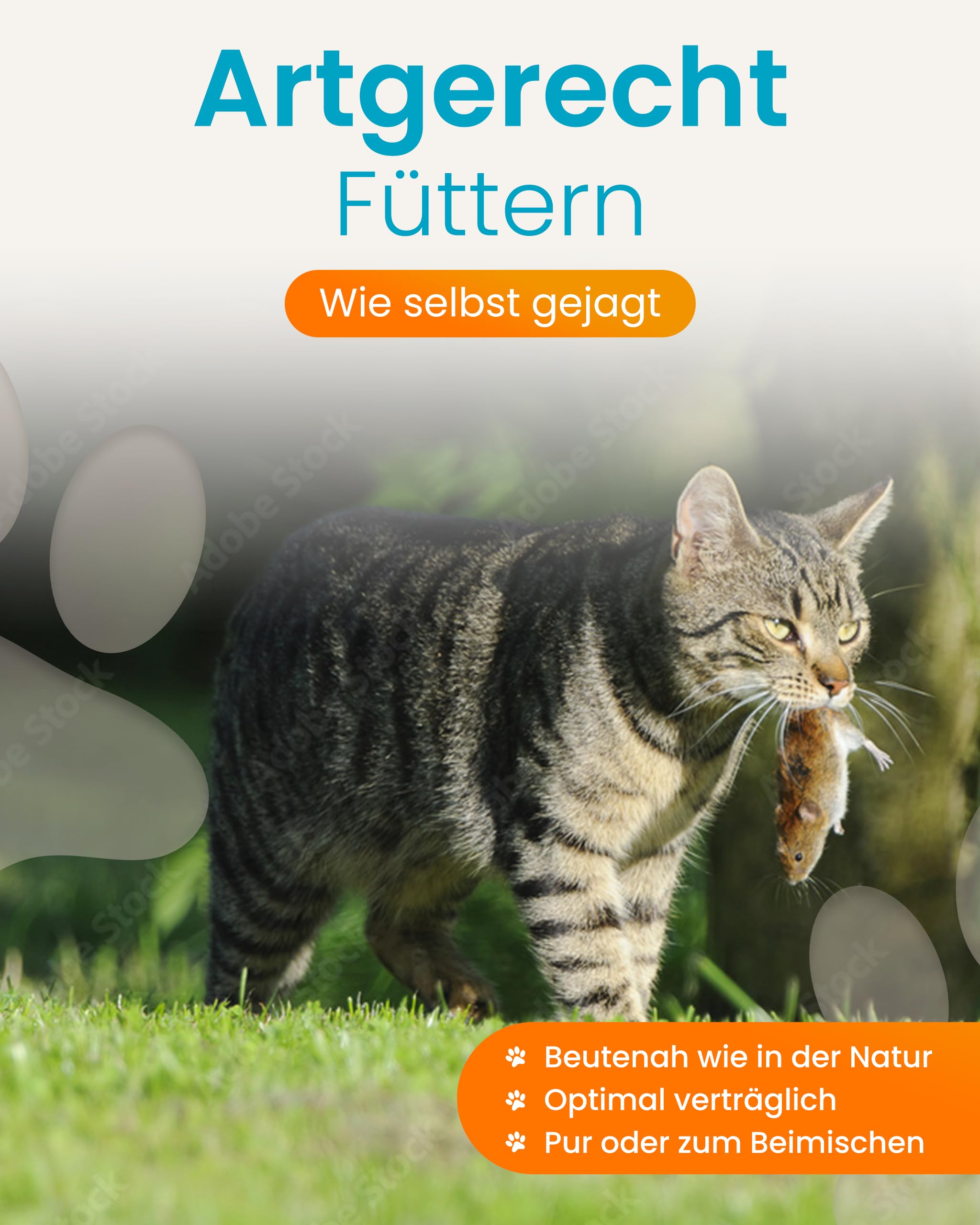 Lucky-Kitty Katzenfutter Nass 100% Maus, Beutenah, Made in Germany, 12x100g | Ohne Getreide & Zucker, Für Katzen & Kitten, Ohne Zusätze, Keine Bindemittel oder Aromastoffe