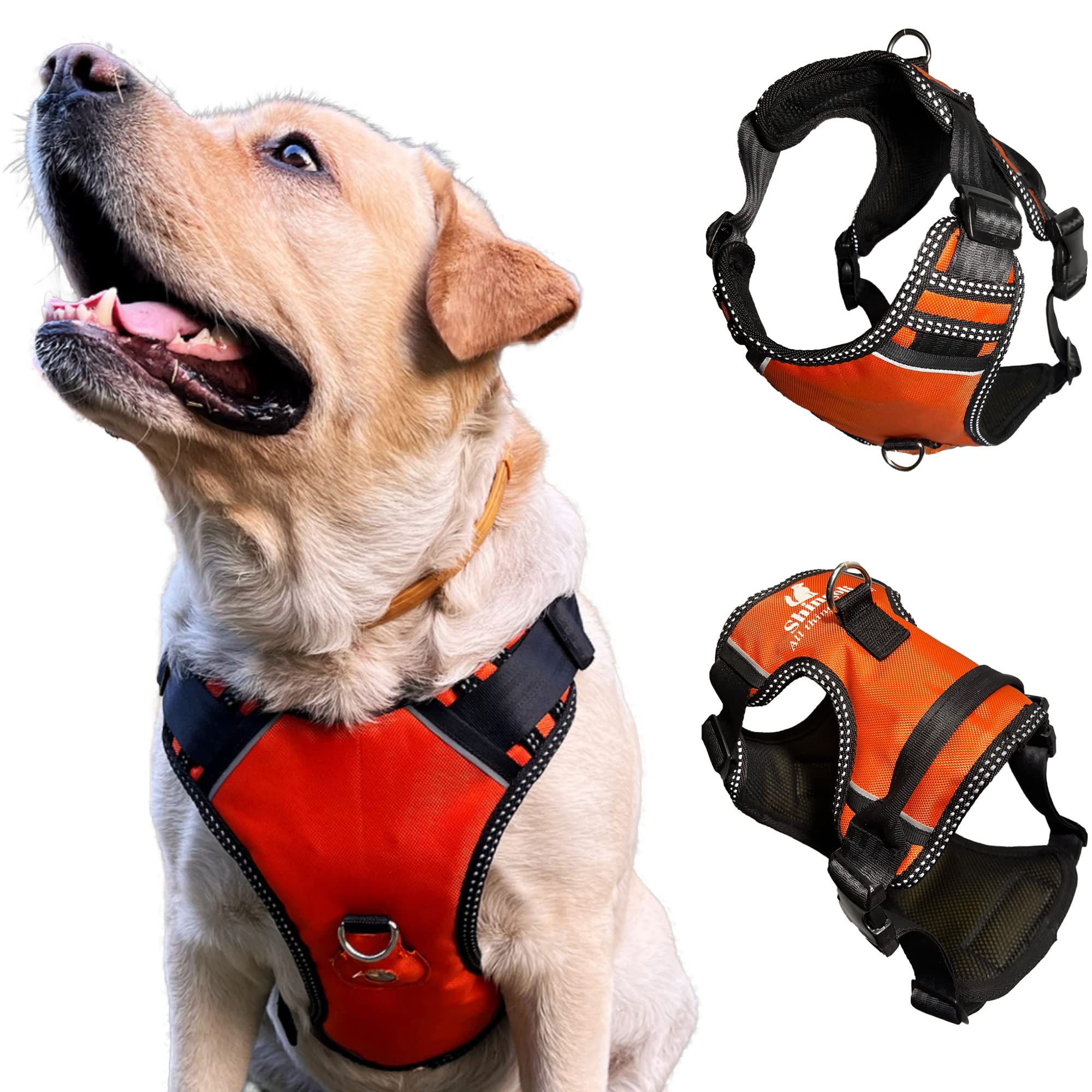 See full amazon price history chart for SHINGOLI™ Dog Harness Vest Belt - Airtag Compatible, Medium to Extra Large, Orange | Adjustable & Durable SHINGOLI™ Dog Harness Vest Belt - Airtag Compatible, Medium to Extra Large, Orange | Adjustable & Durable (B0BSVG5MSR) Amazon Price History, Amazon Price Tracker