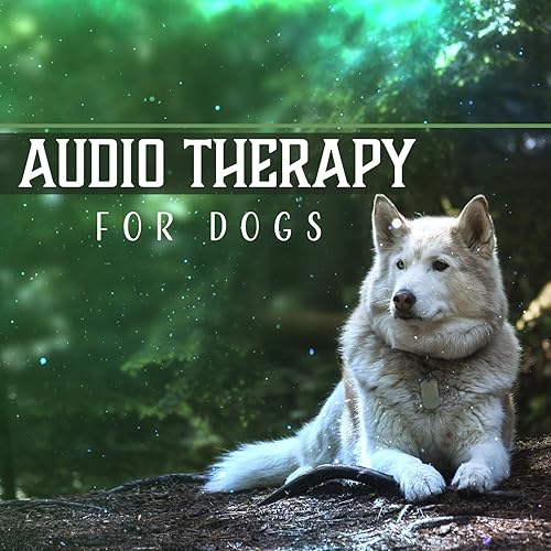 Audio Therapy for Dogs Canine Lullabies, Soothing Sounds to Calm Your