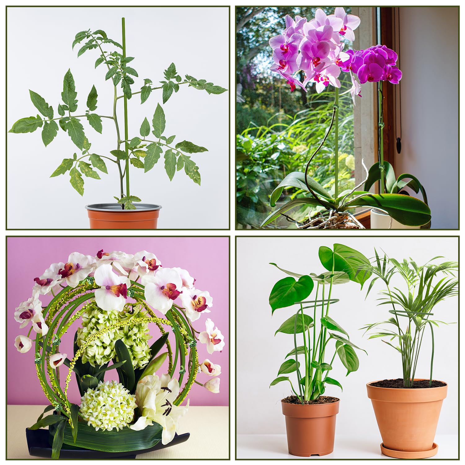 Kit Tuteur Plantes 120 Pièces - Supports Pour Orchidées, Tomates Avec Mousquetons Et Extensions