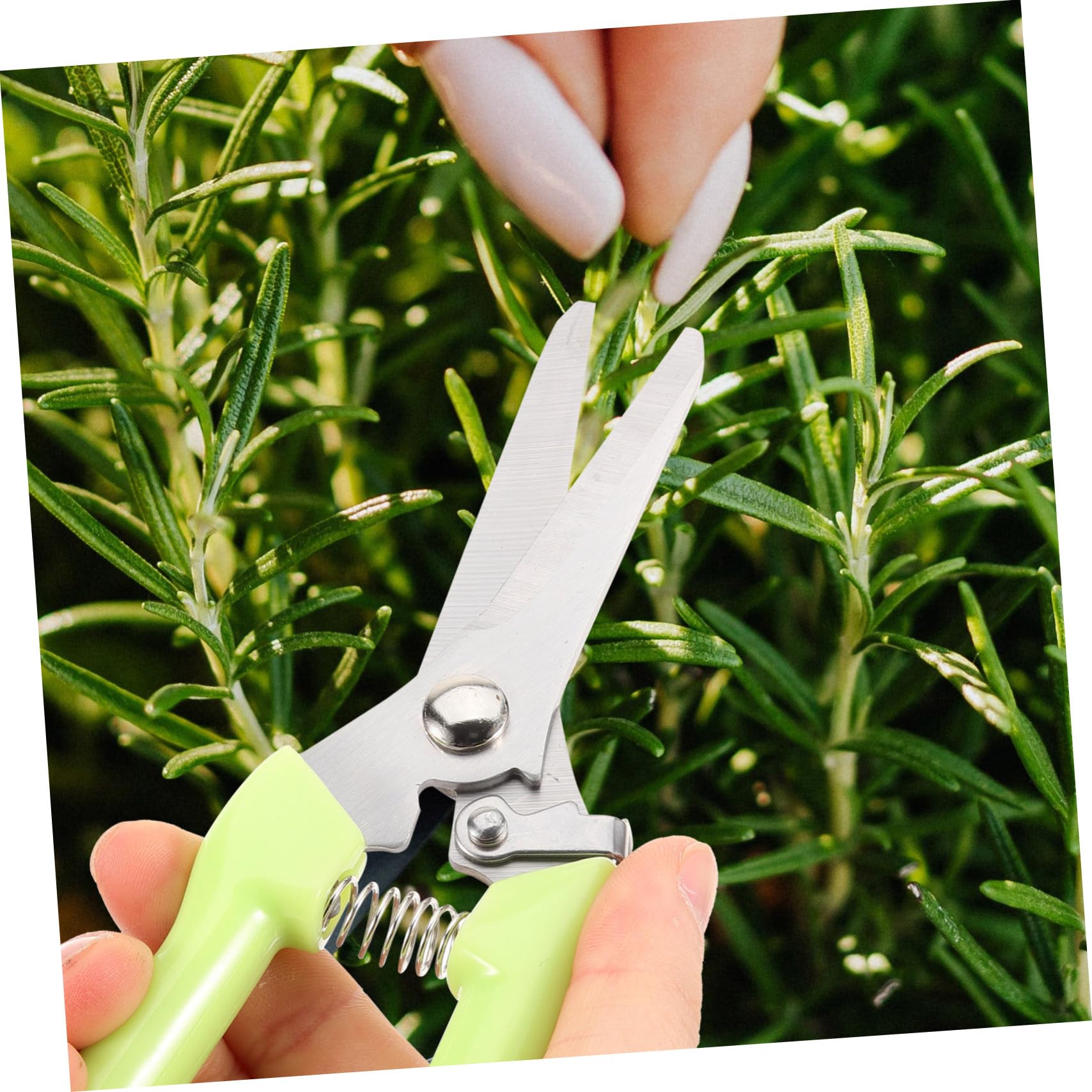 2 Sätze Gartenschneider Ergonomische Gartenschere Für Präzises Langlebig Für Gartenarbeit 2 Stück * 2